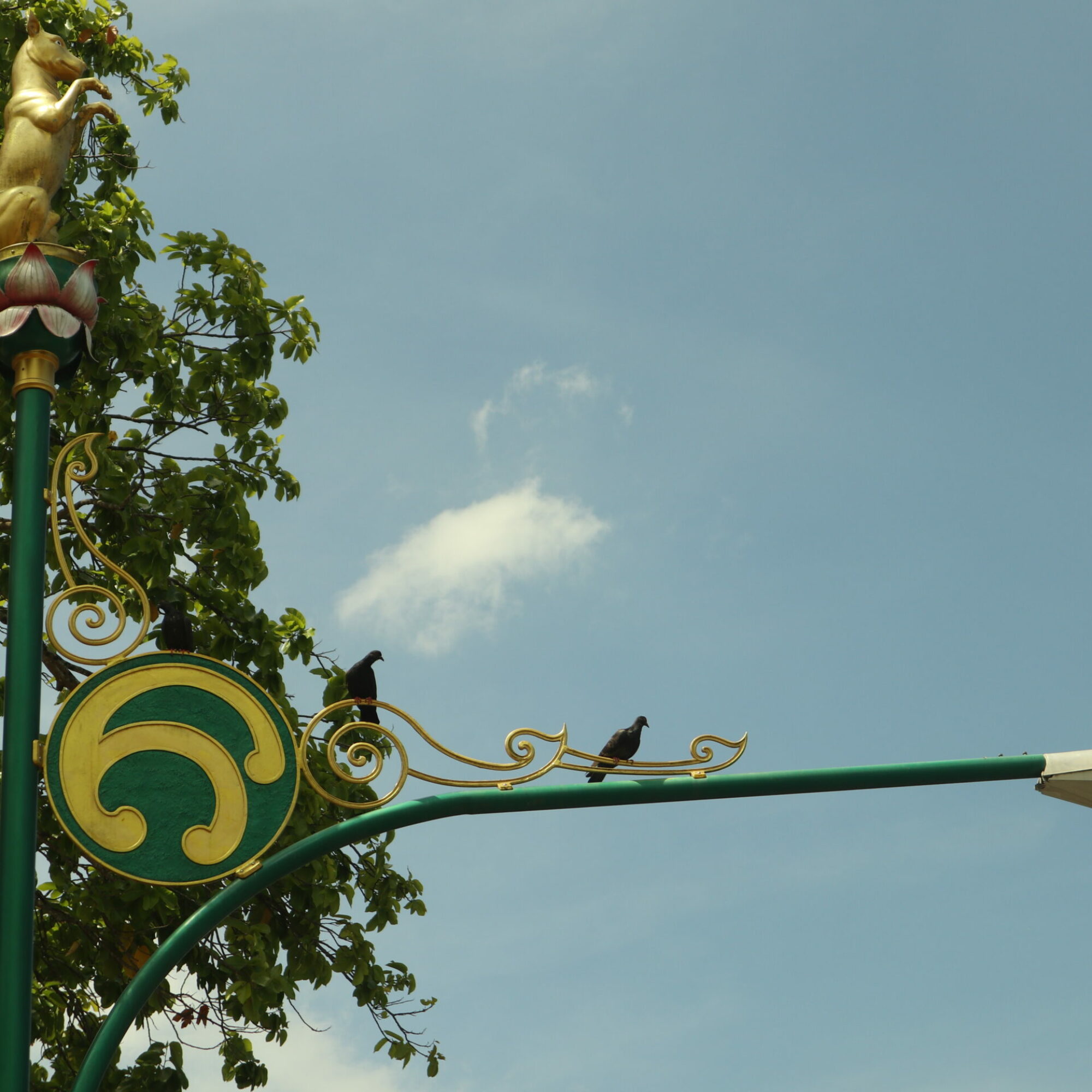 สิบสองนักษัตร : เงินนะโมที่เมืองนครศรีธรรมราช