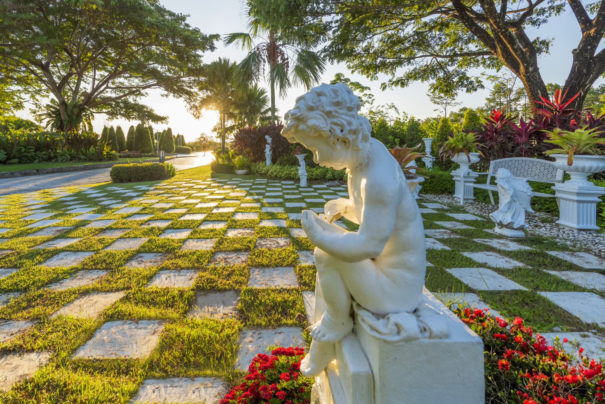 พรรณไม้ ลานหินสวนวลัยลักษณ์