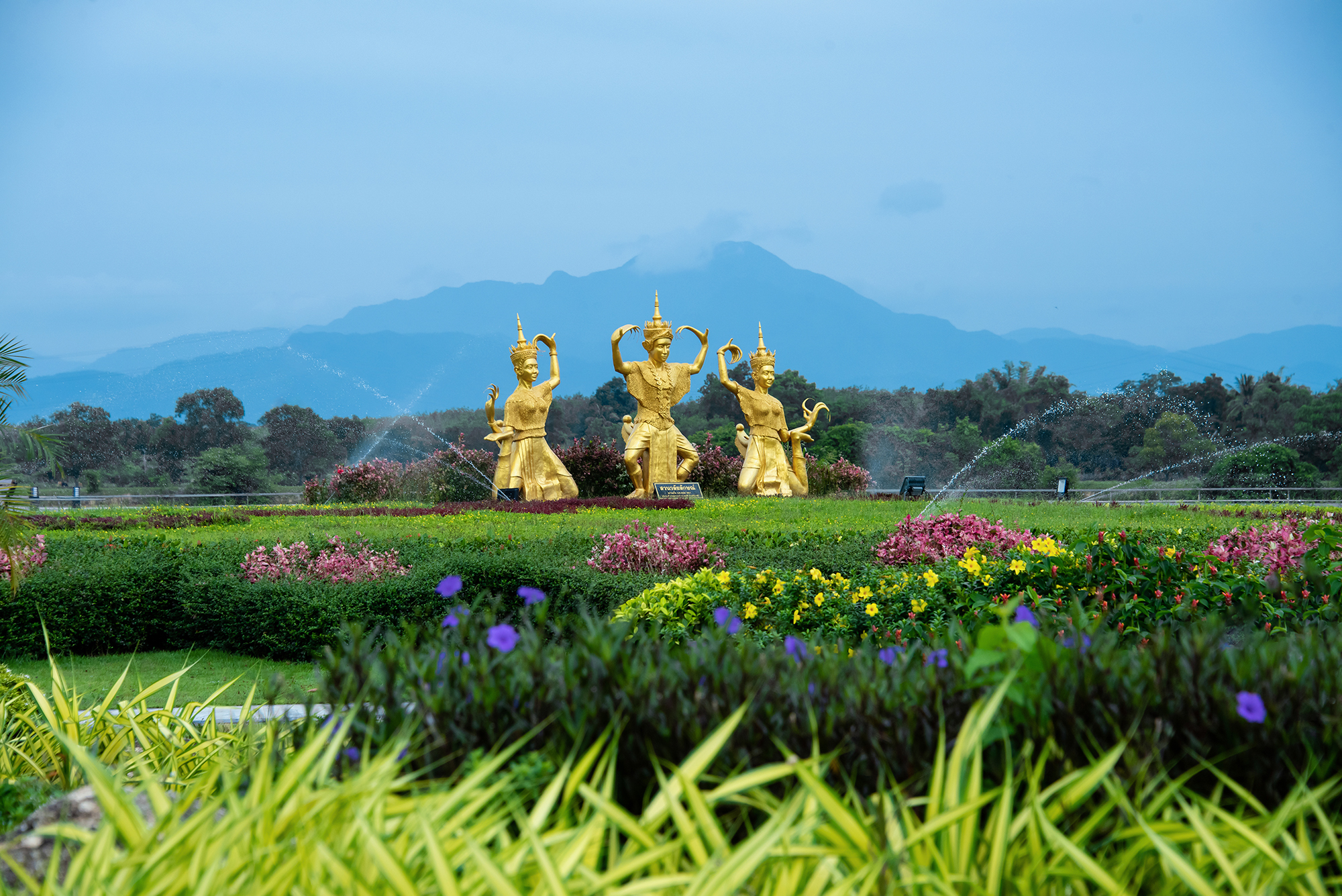 Read more about the article พรรณไม้ @ สวนวลัยฯ