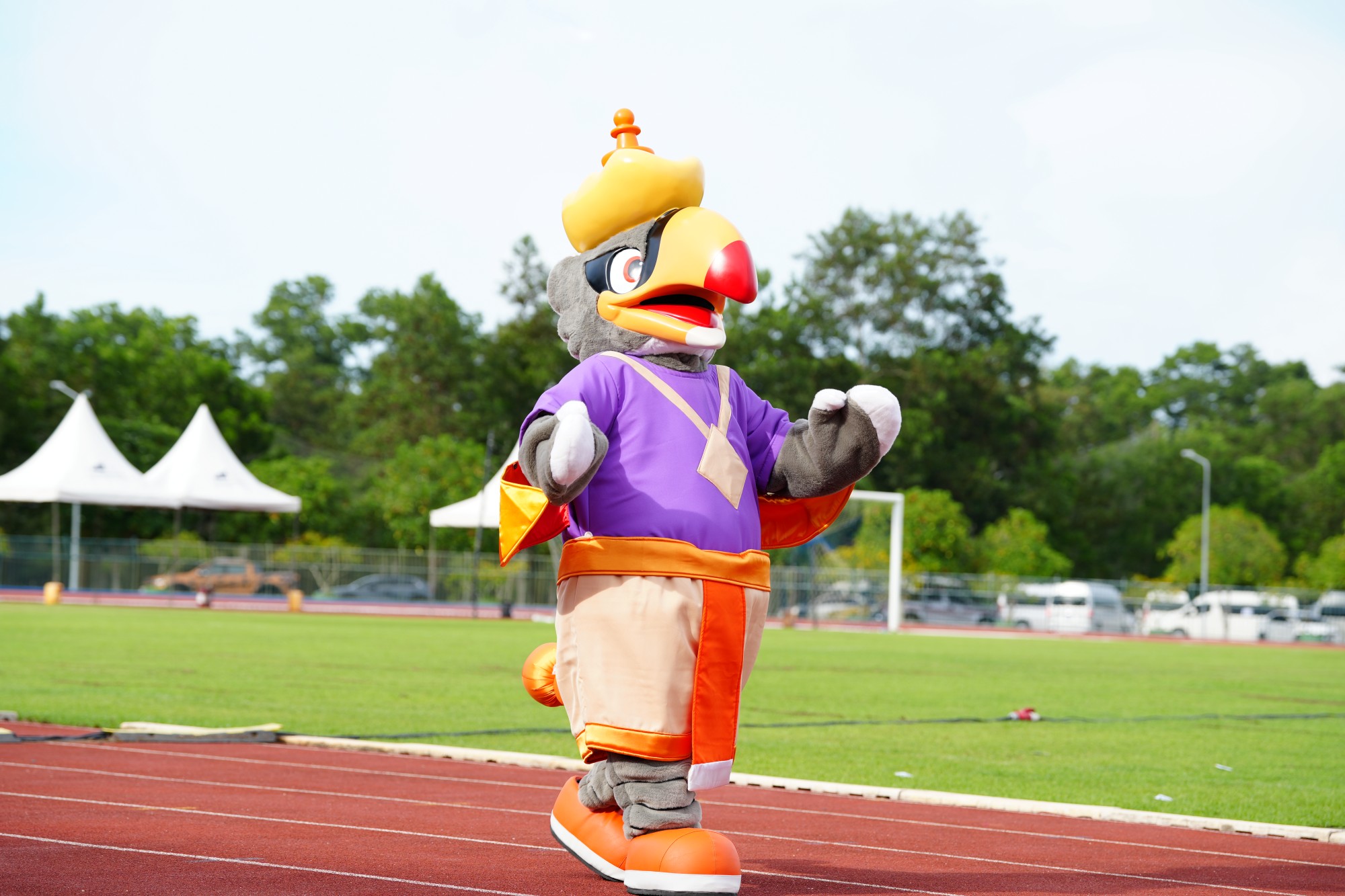 Read more about the article นกฮัง @มหาวิทยาลัยวลัยลักษณ์