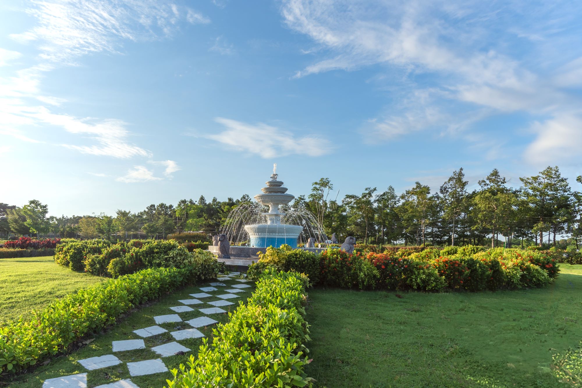 พรรณไม้_น้ำพุ