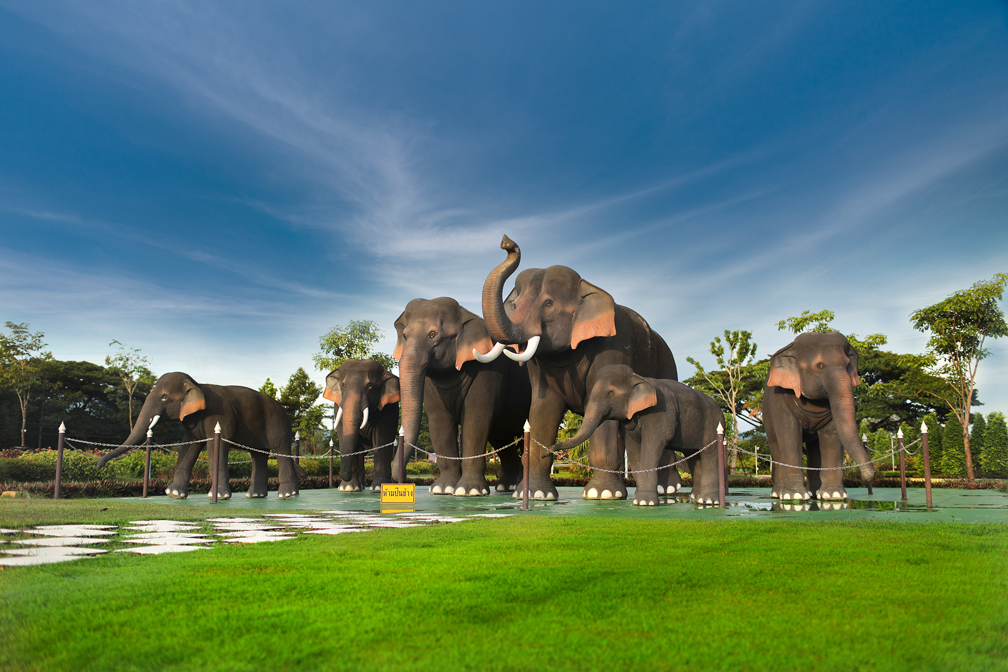 พรรณไม้ สวนช้าง