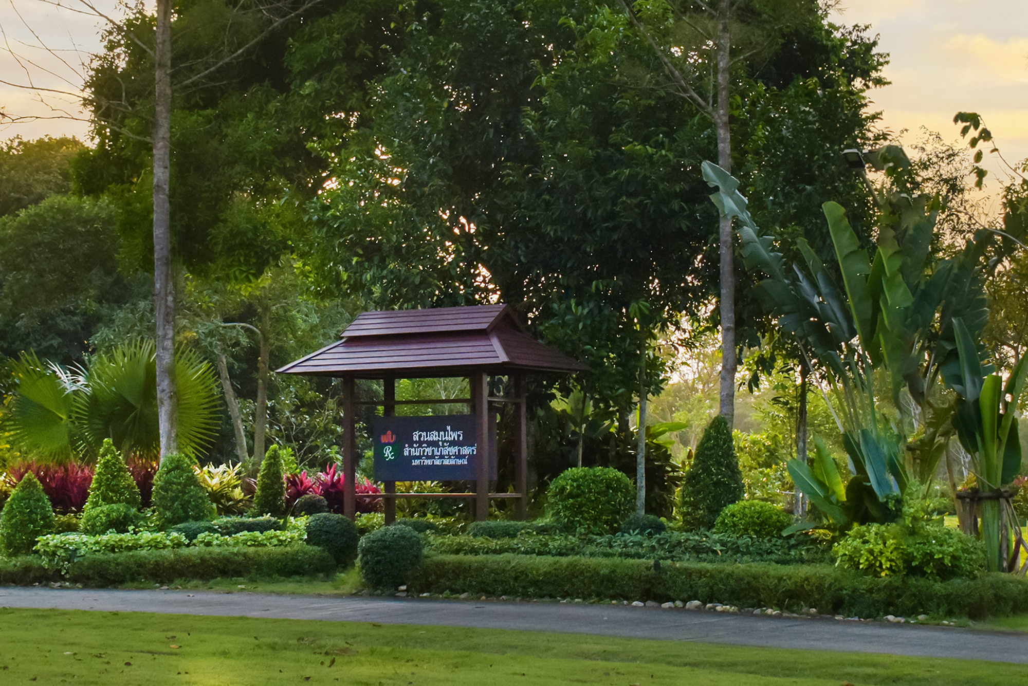 Read more about the article สวนสมุนไพร ที่วลัยลักษณ์