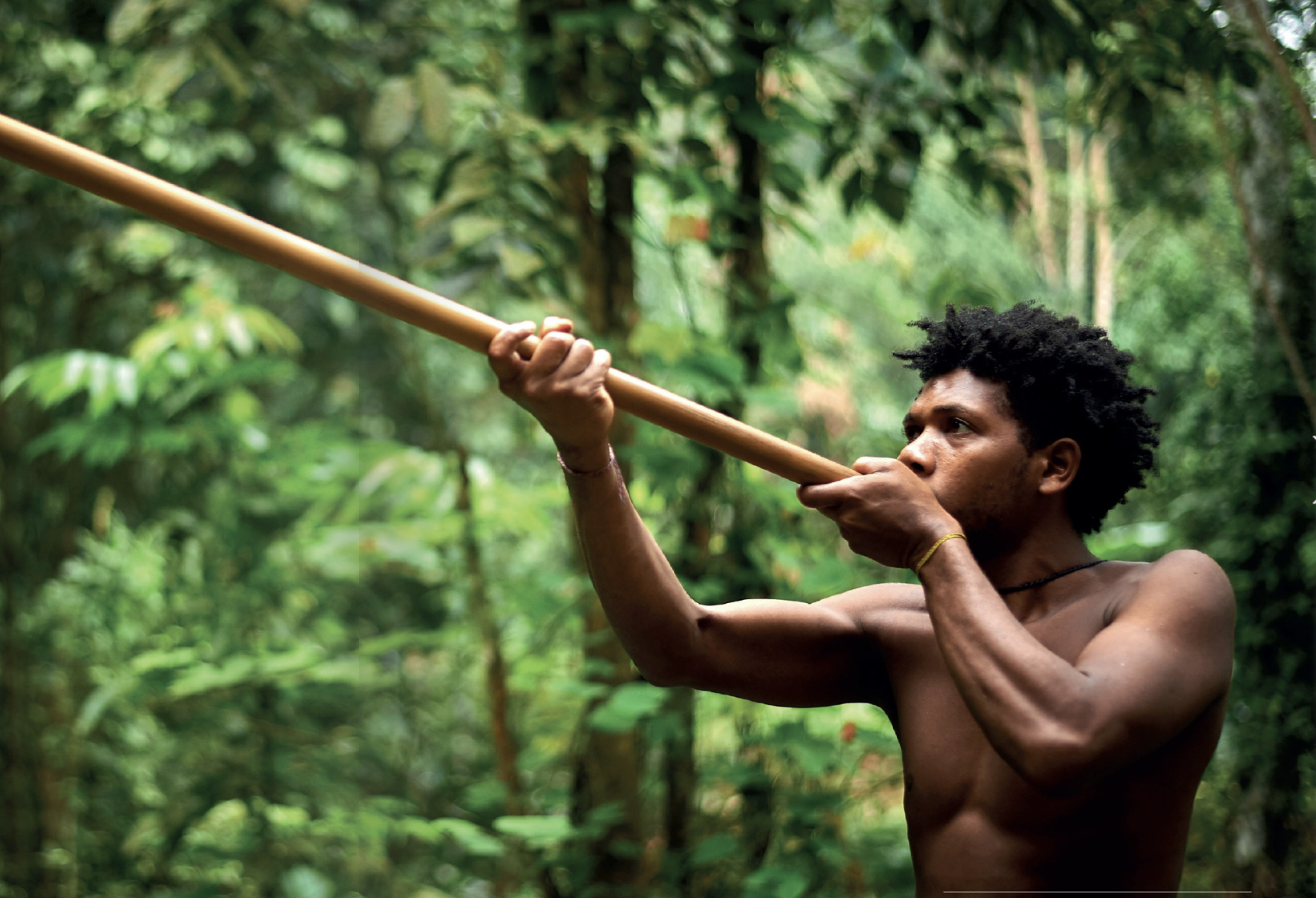 บอเลา มานิ