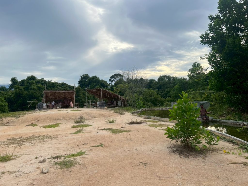 มานิ ทับ4