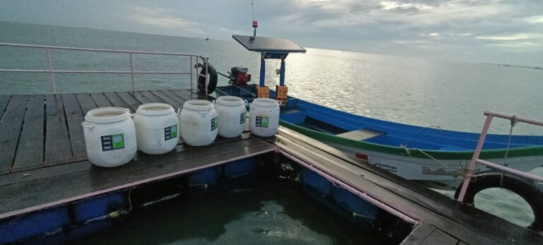 Read more about the article ธนาคารปูม้า โครงการฟื้นฟูและคืนปูม้าสู่ทะเลไทย