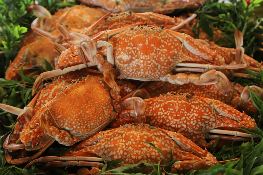 อาหารจากปูม้า