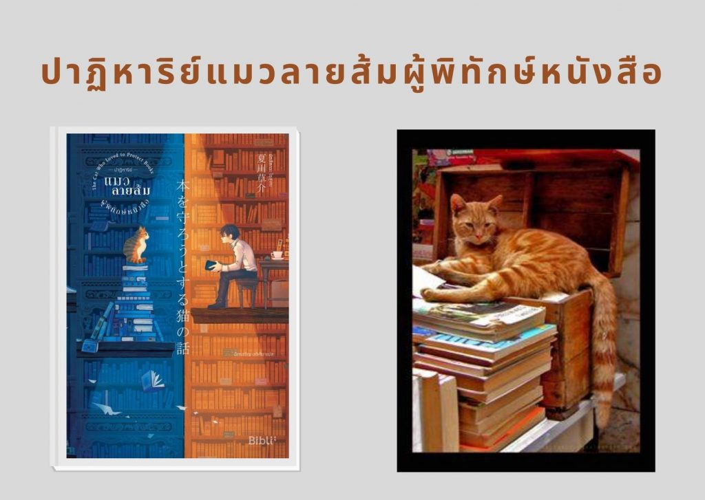 ปาฏิหาริย์แมวลายส้มผู้พิทักษ์หนังสือ