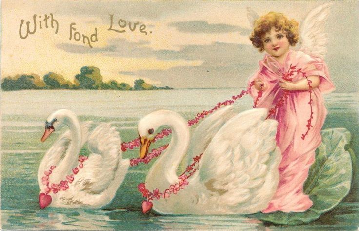 การ์ดรักวาเลนไทน์