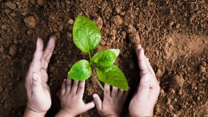 dc626215-82c5-4880-812e-001906712c68-fotolia_168212304_subscription_monthly_m