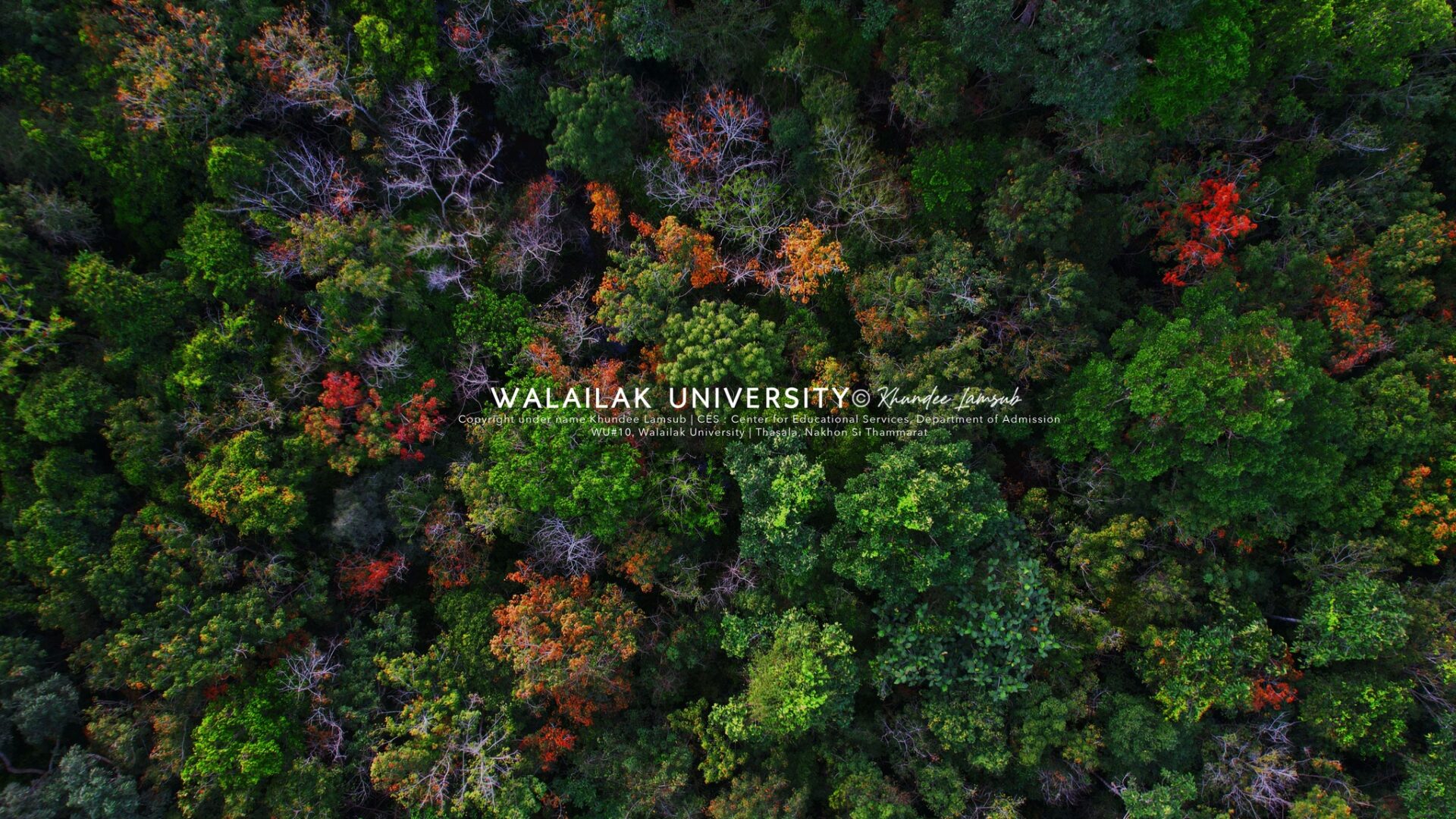 สำนักงานสีเขียว