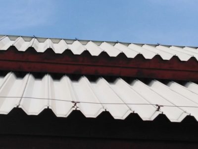 64357352_471931216913224_7356658432583139328_n