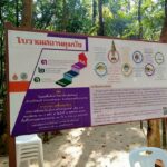 “โบราณสถานตุมปัง”                                                                       สิ่งศักดิ์สิทธิ์ในมหาวิทยาลัยวลัยลักษณ์