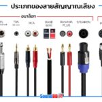 สายนำสัญญาณเสียง  