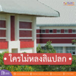 ใครไม่หลงสิแปลก?