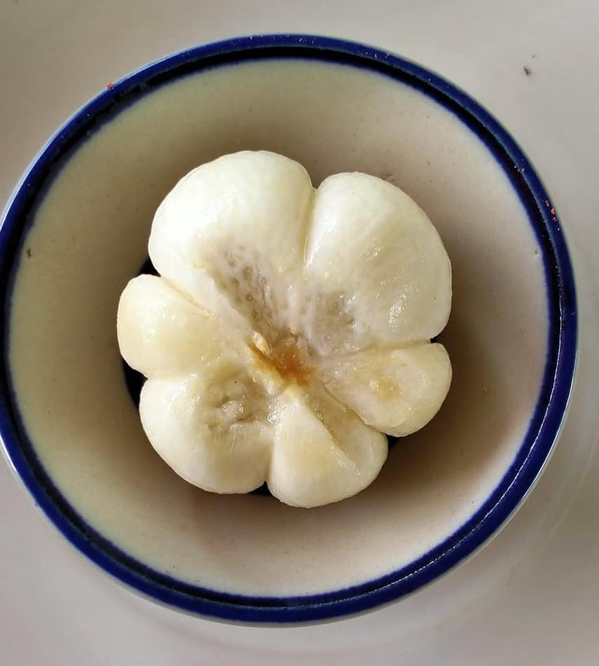 มังคุดคัด