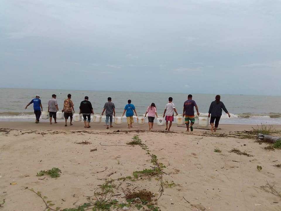 ธนาคารปูม้า