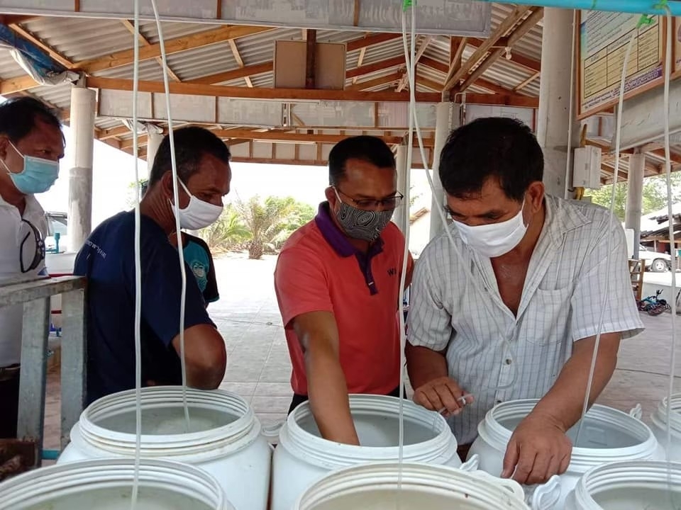 ธนาคารปูม้า