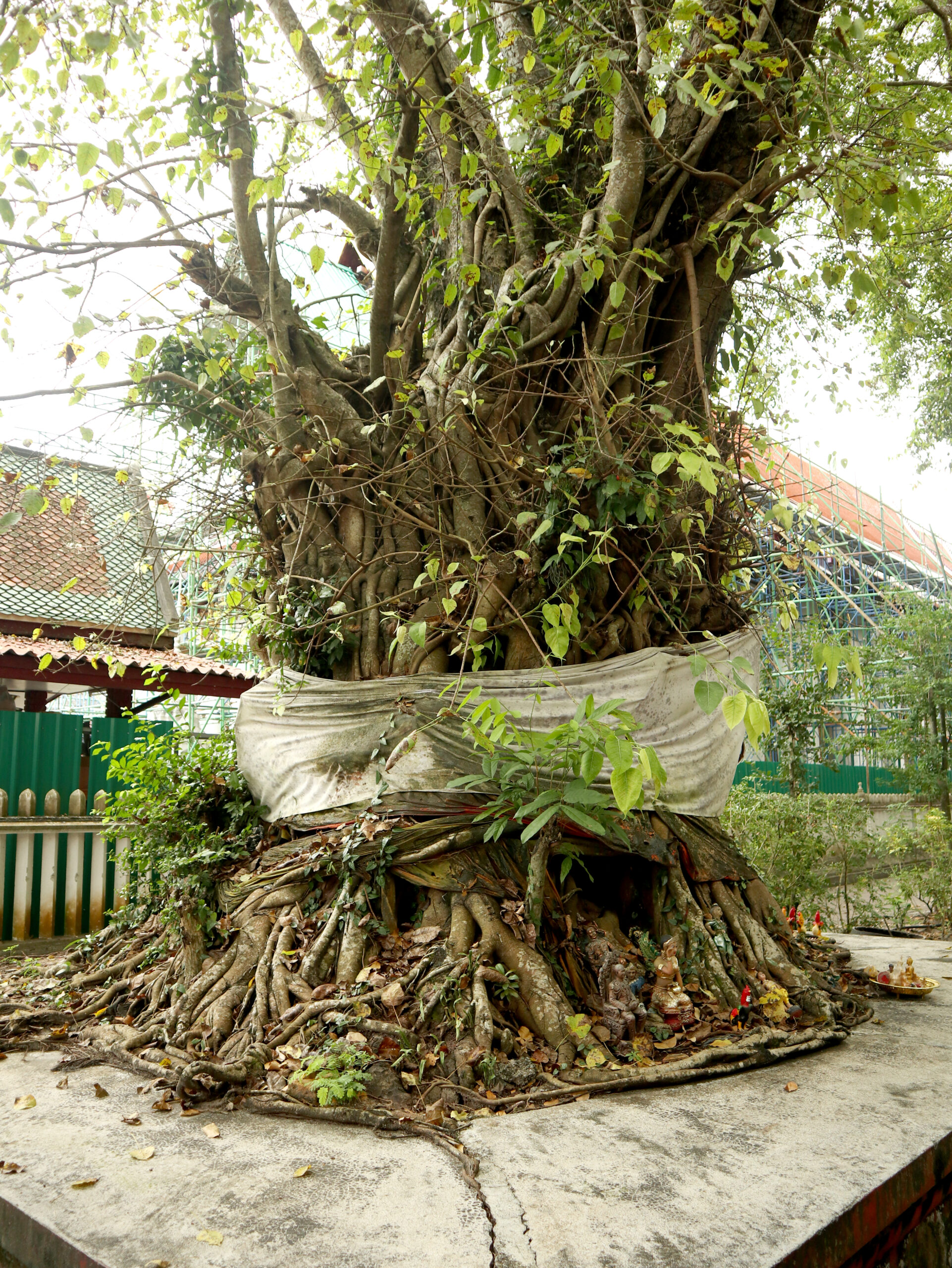 วัดพระมหาธาตุวรมหาวิหาร