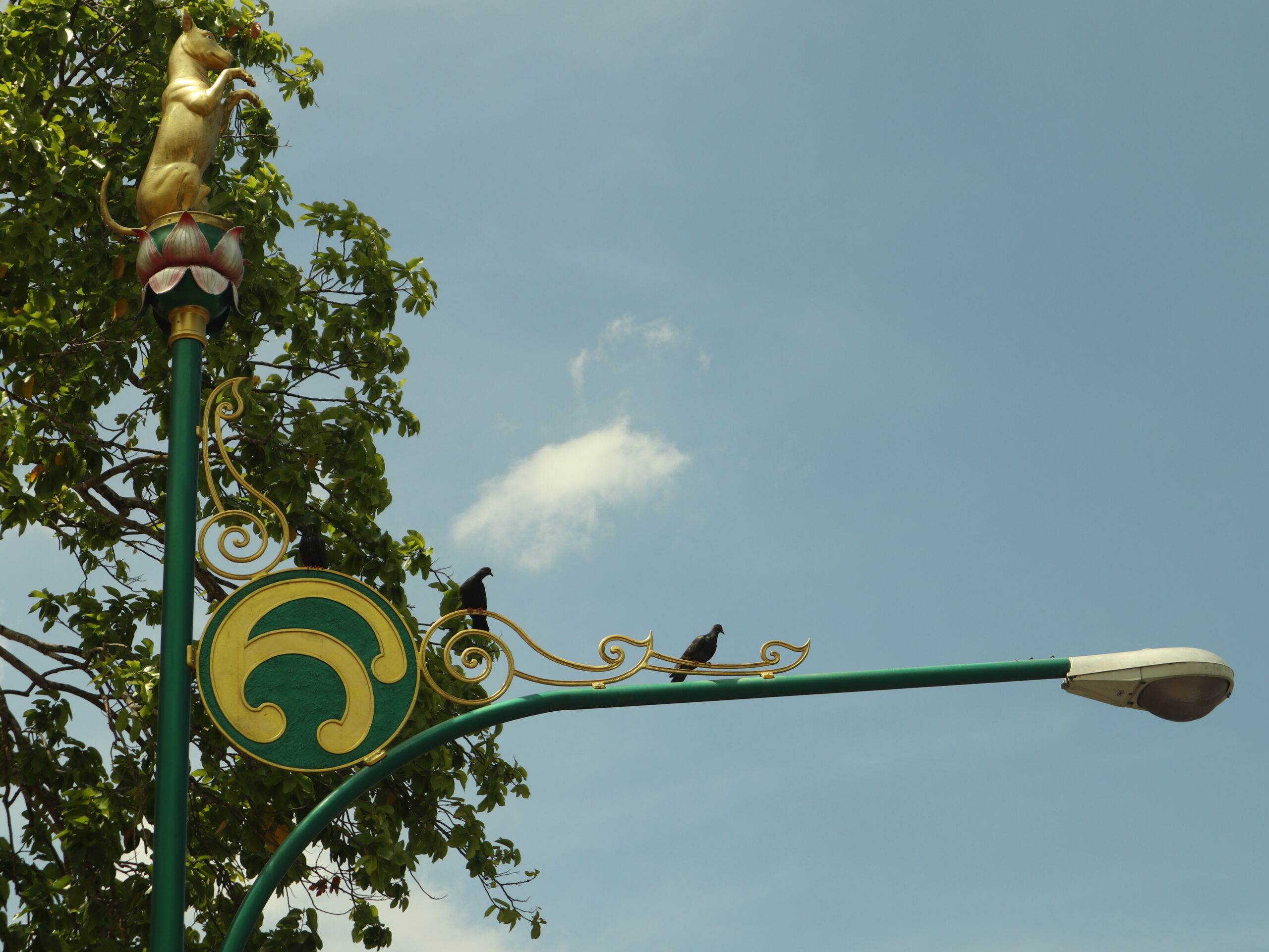 นักษัตรจอ