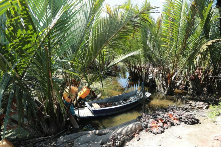 Read more about the article จาก : สารพัดประโยชน์มากคุณค่า