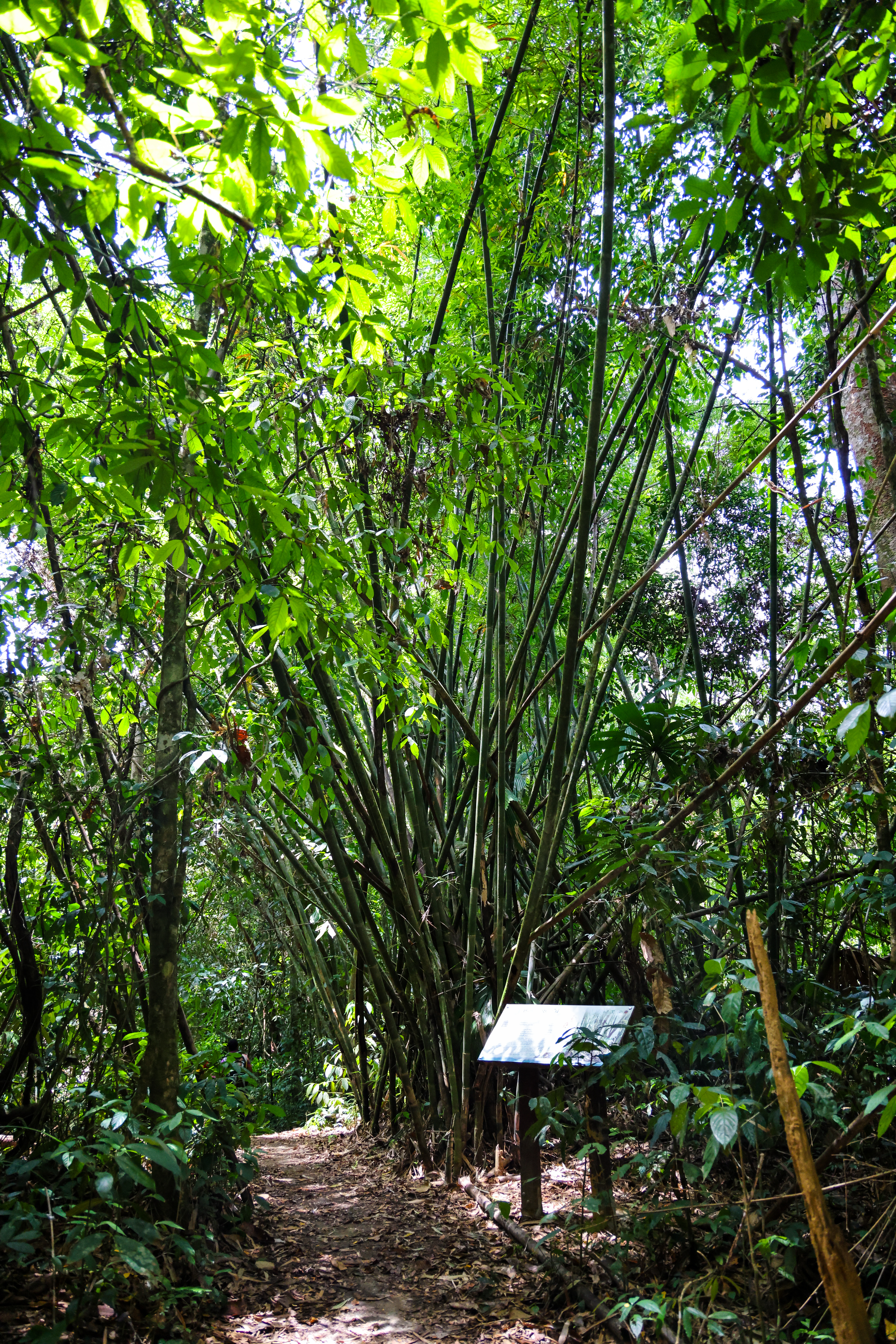 เส้นทางศึกษาธรรมชาติ