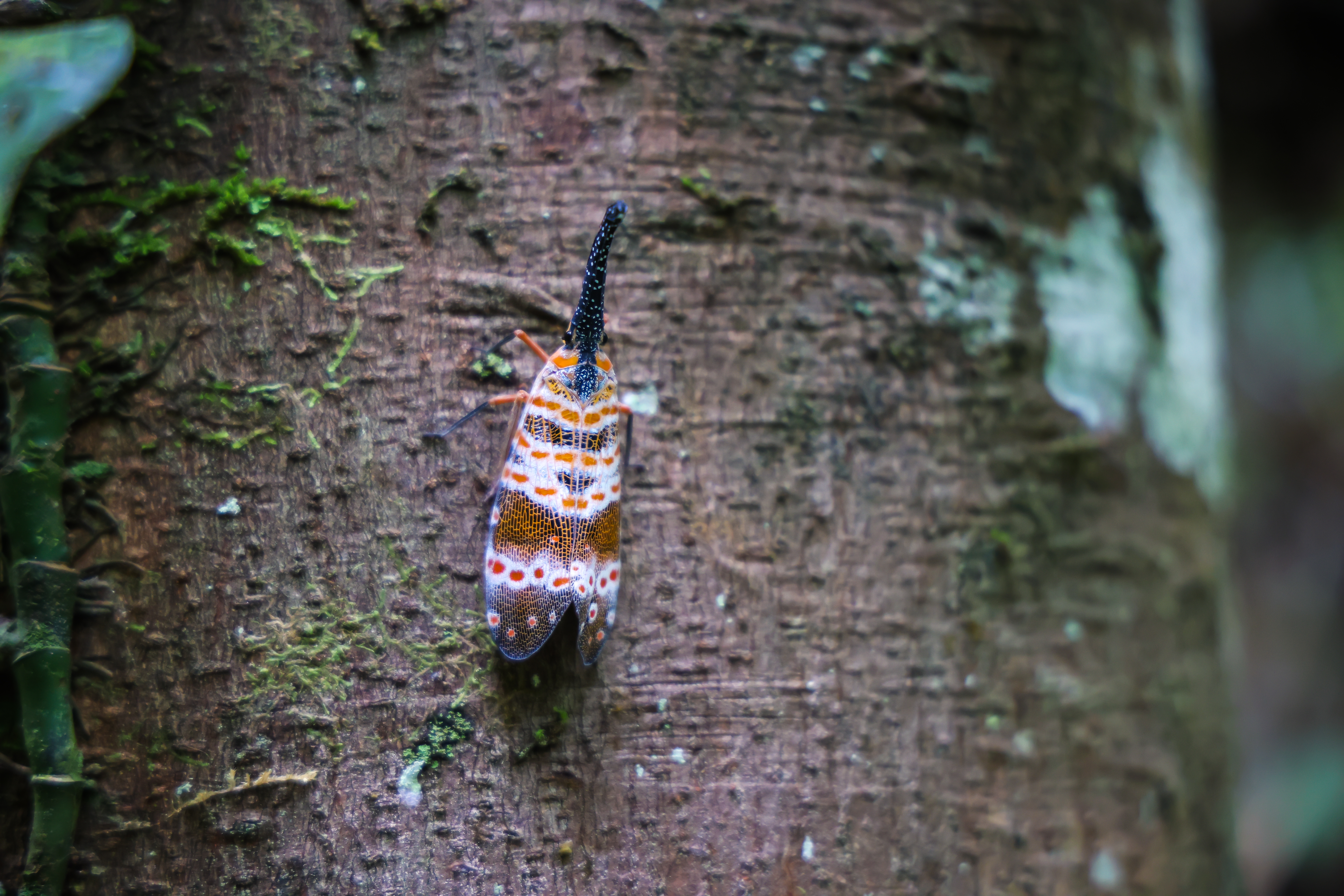 เส้นทางศึกษาธรรมชาติ