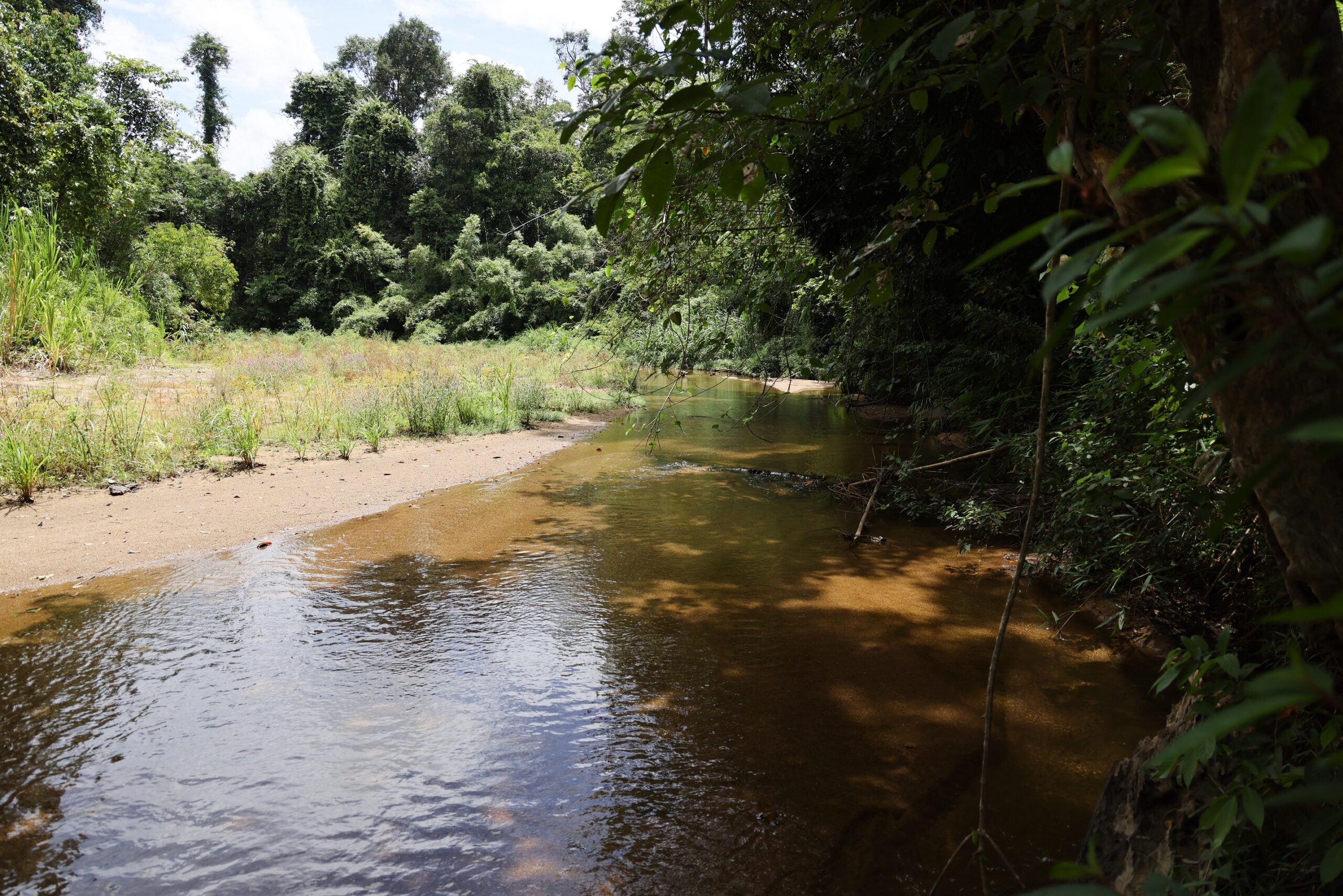 เส้นทางศึกษาธรรมชาติ