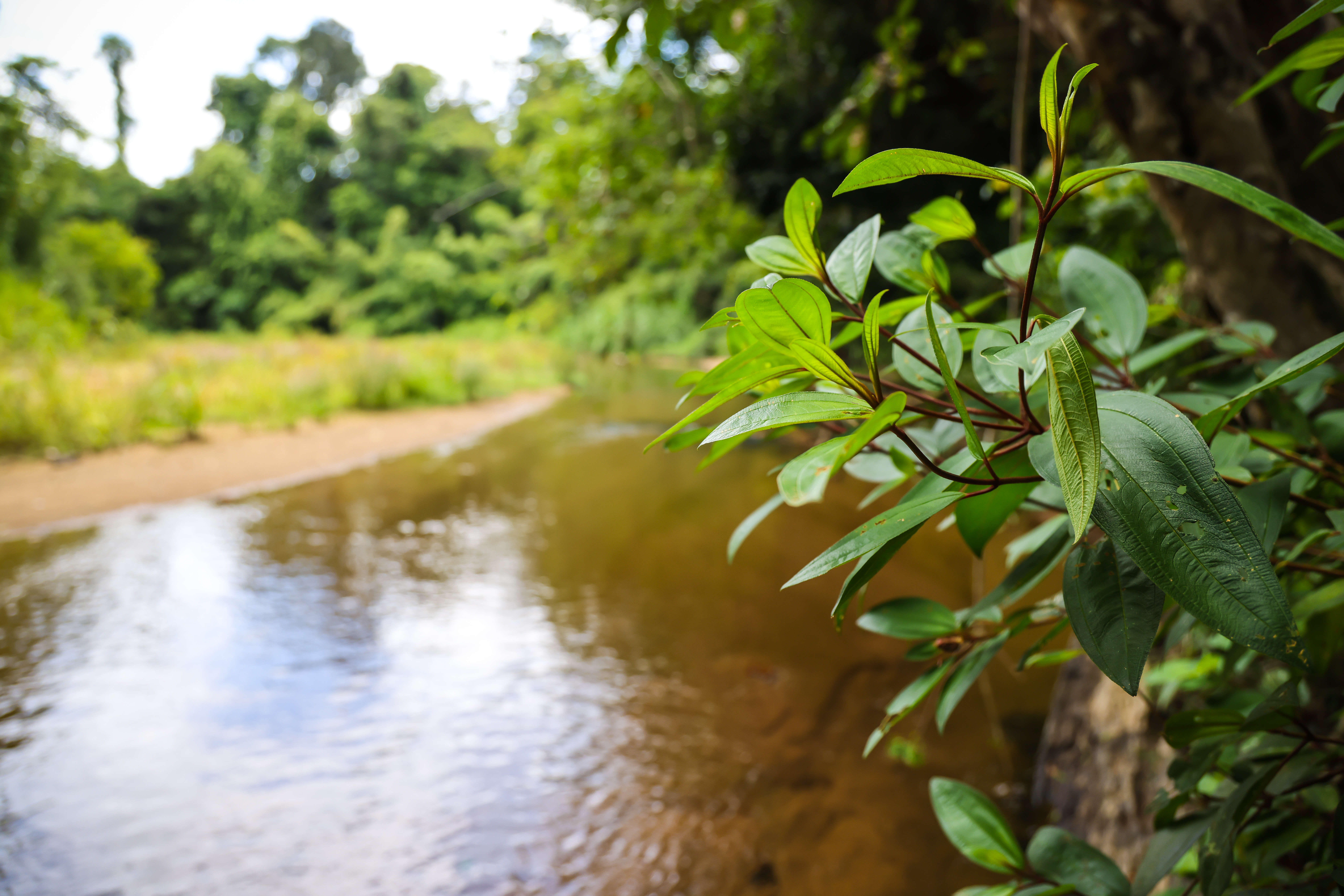 เส้นทางศึกษาธรรมชาติ