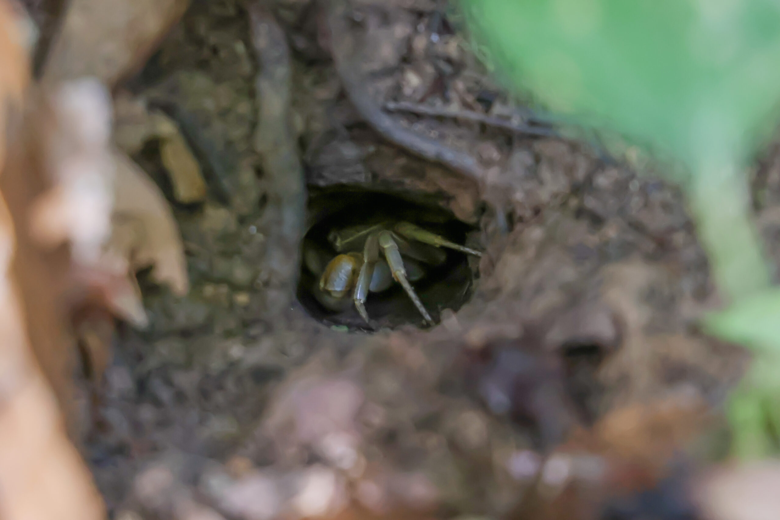 เส้นทางศึกษาธรรมชาติ