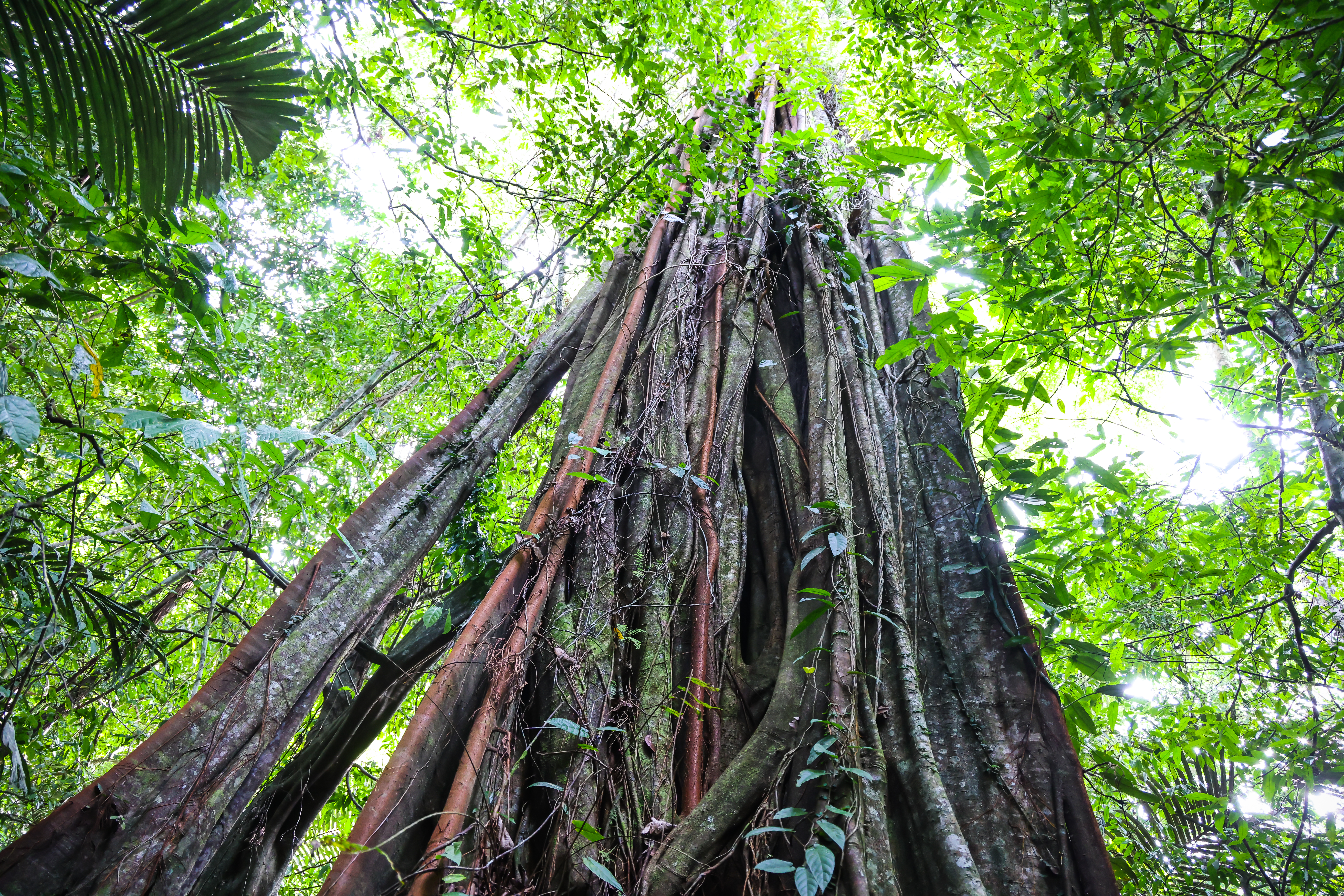 เส้นทางศึกษาธรรมชาติ