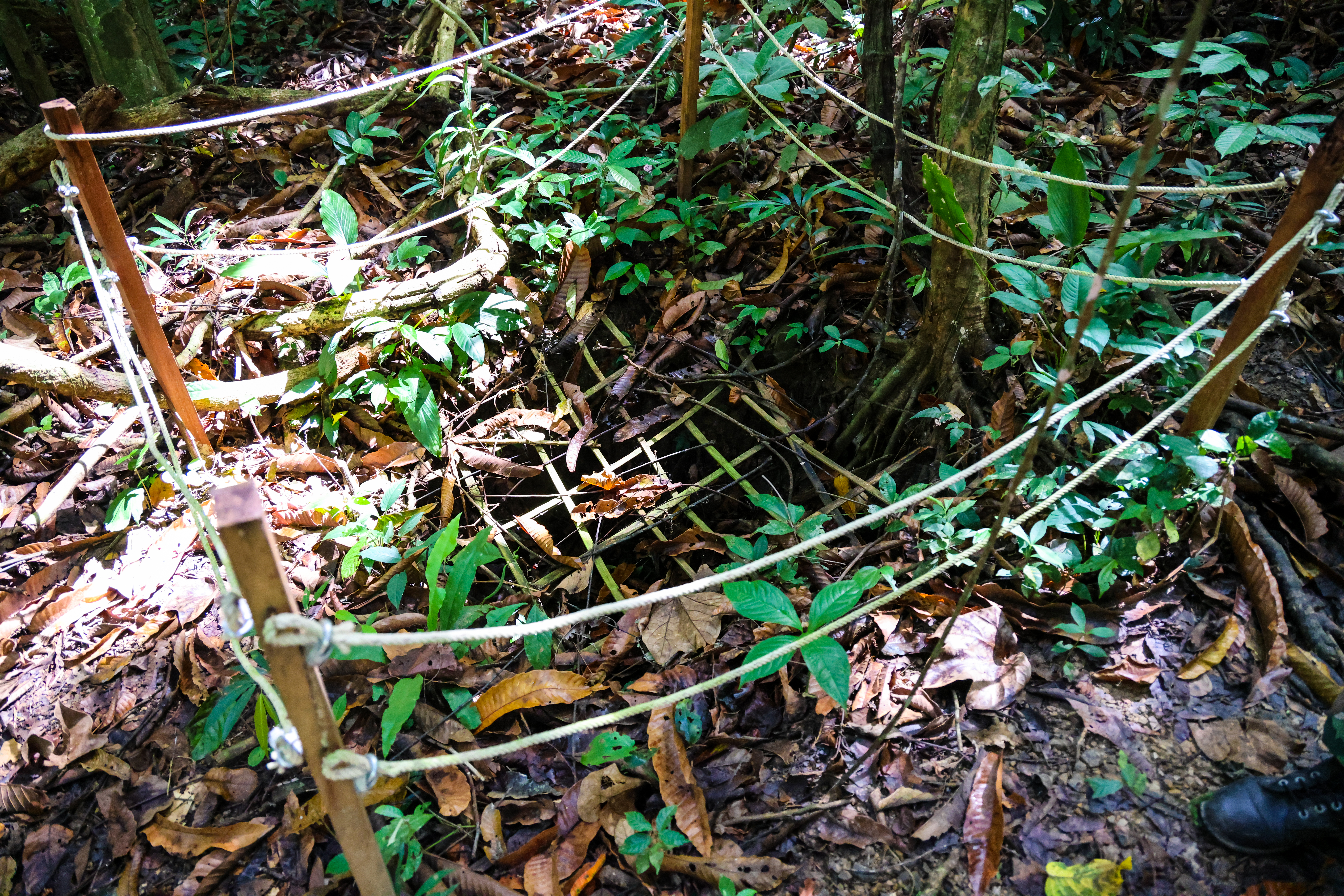 เส้นทางศึกษาธรรมชาติ