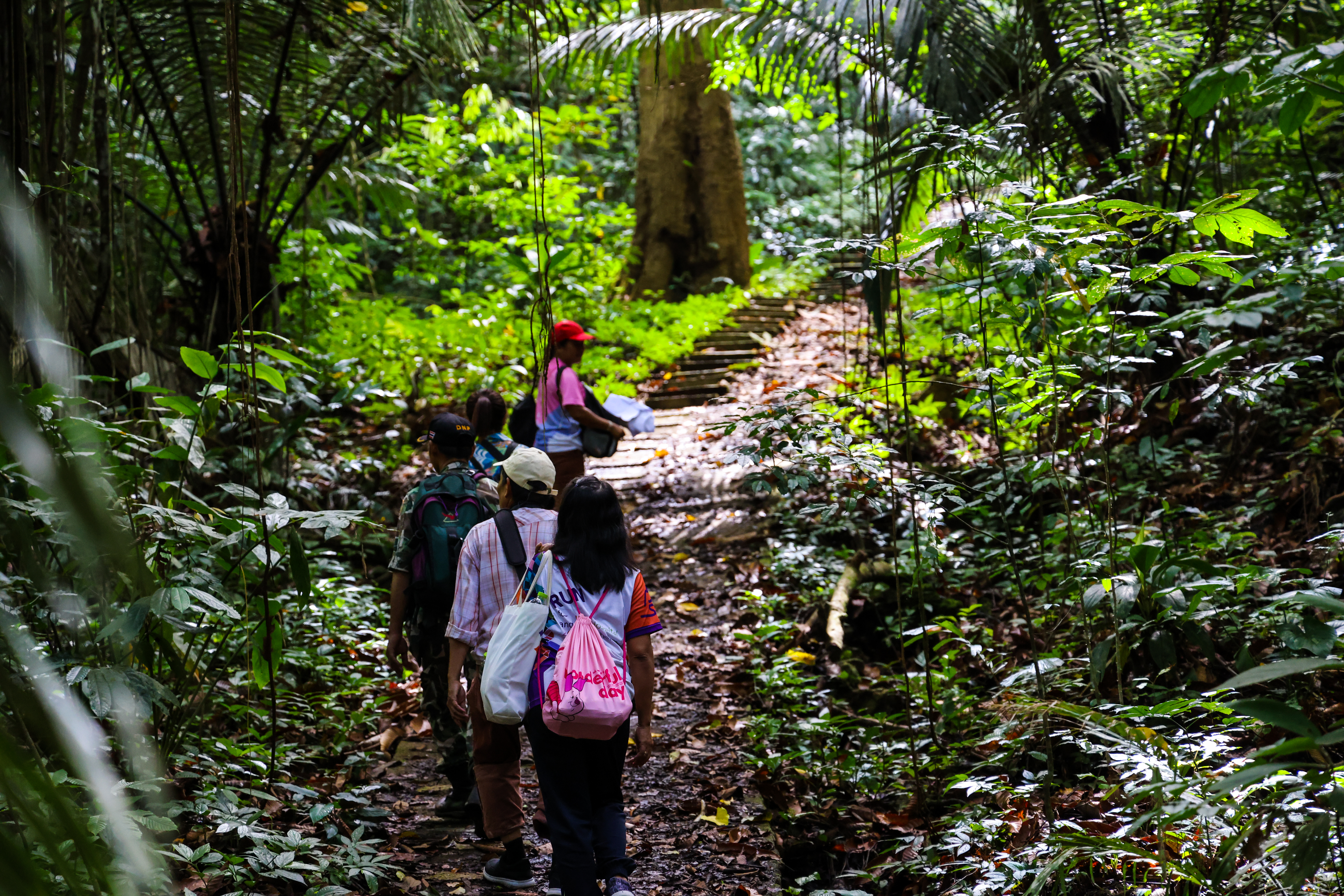 Read more about the article เส้นทางศึกษาธรรมชาติ เดินป่าหน้าฝน – น้ำตกกรุงชิง