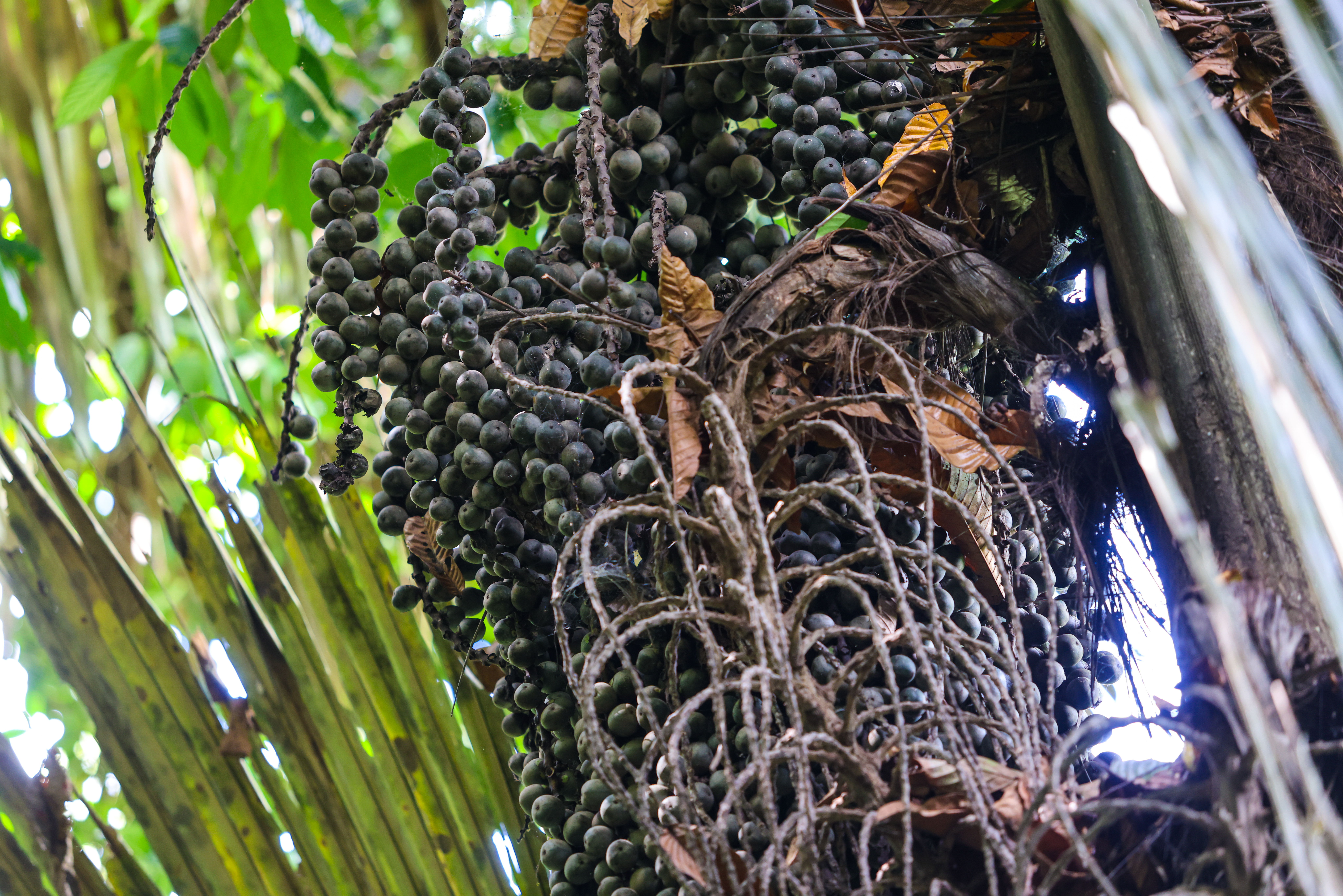 เส้นทางศึกษาธรรมชาติ