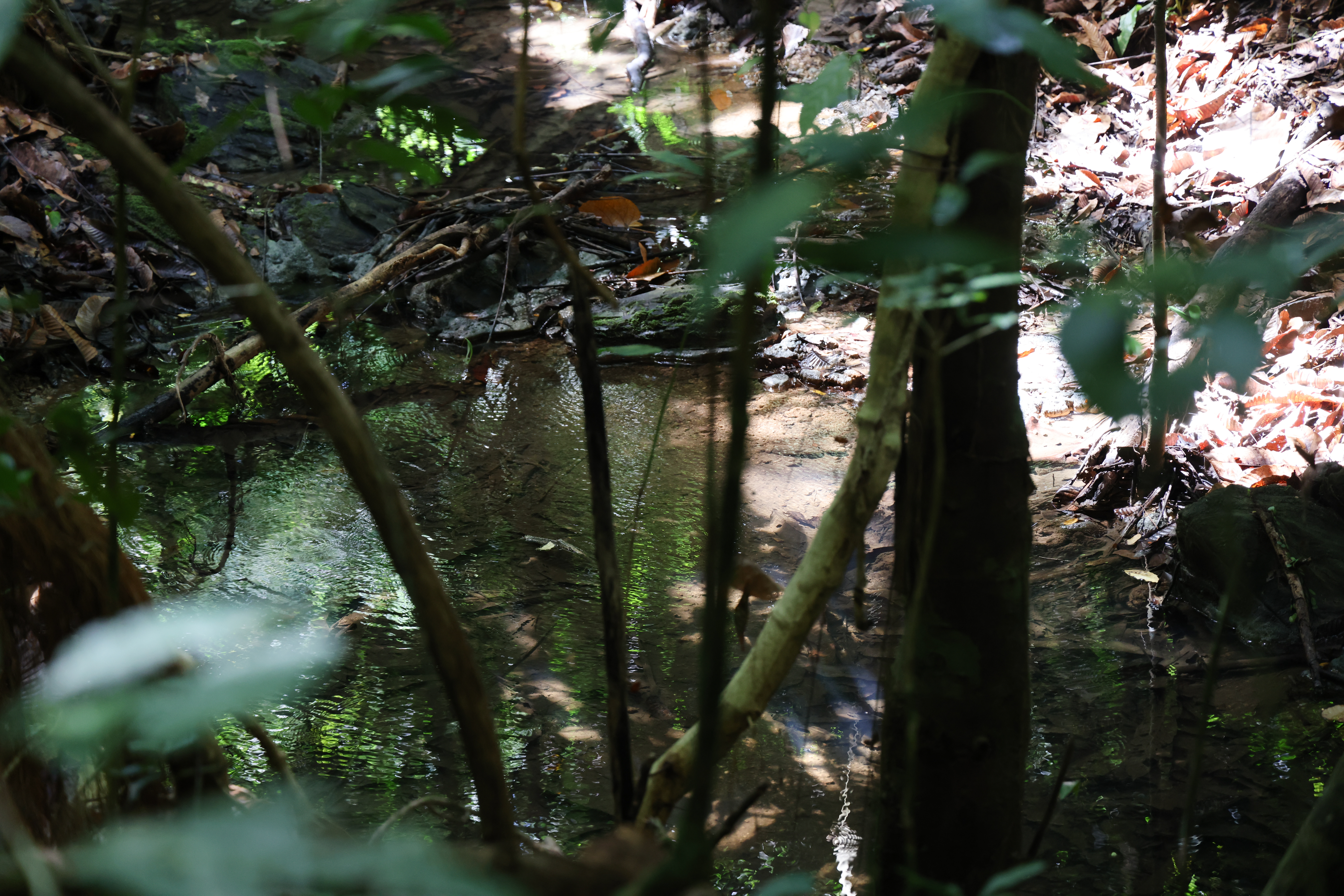 เส้นทางศึกษาธรรมชาติ