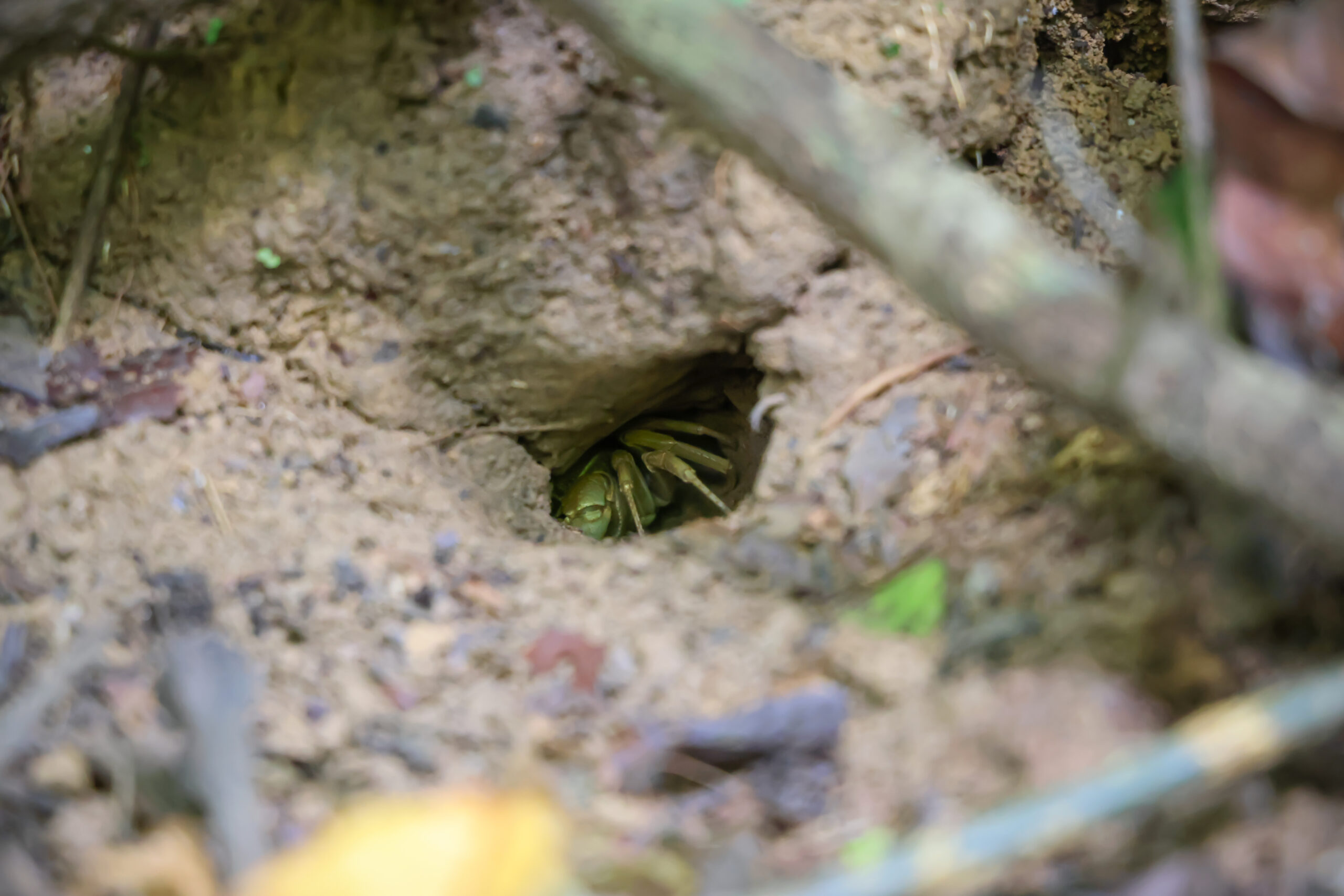 เส้นทางศึกษาธรรมชาติ