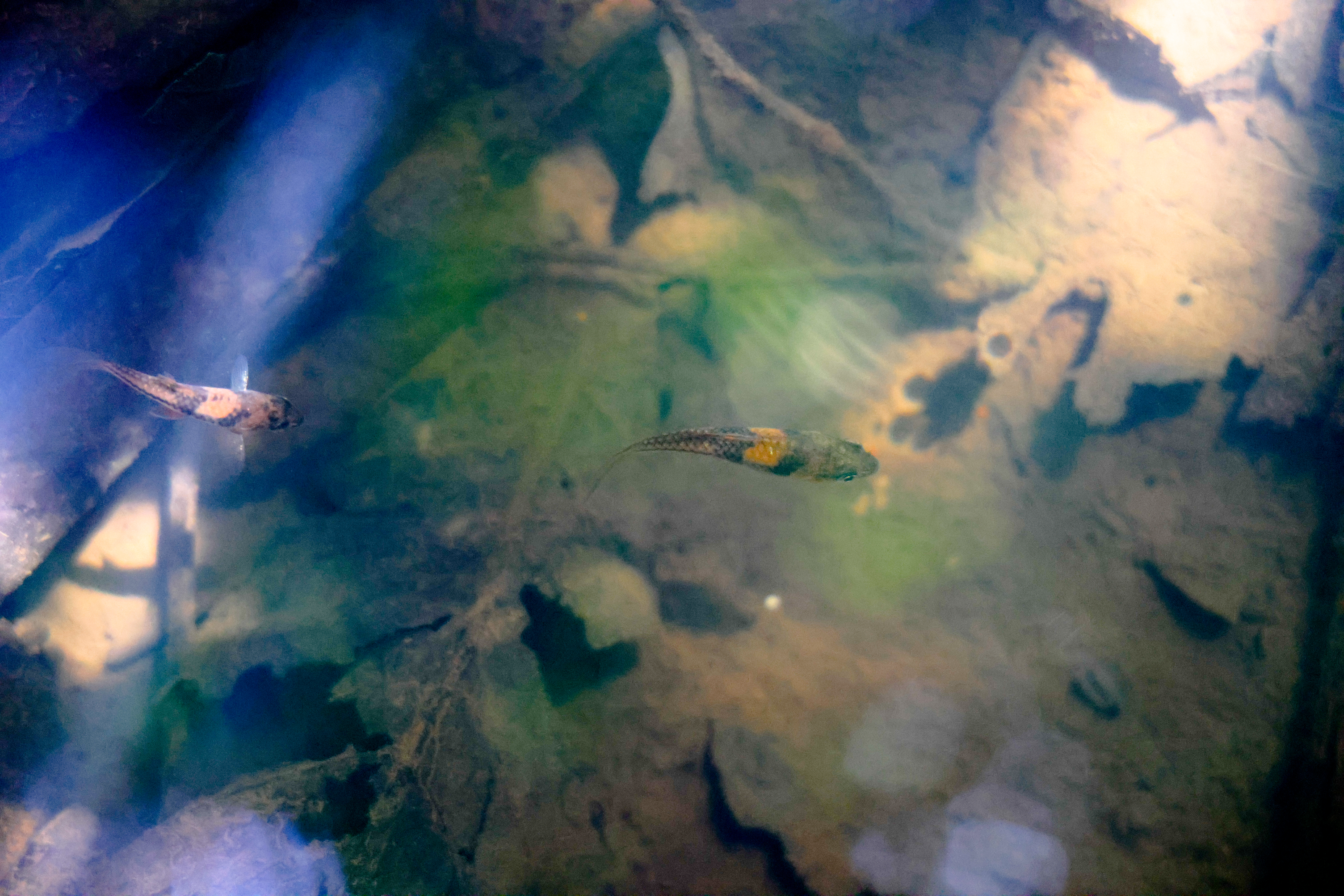 เส้นทางศึกษาธรรมชาติ