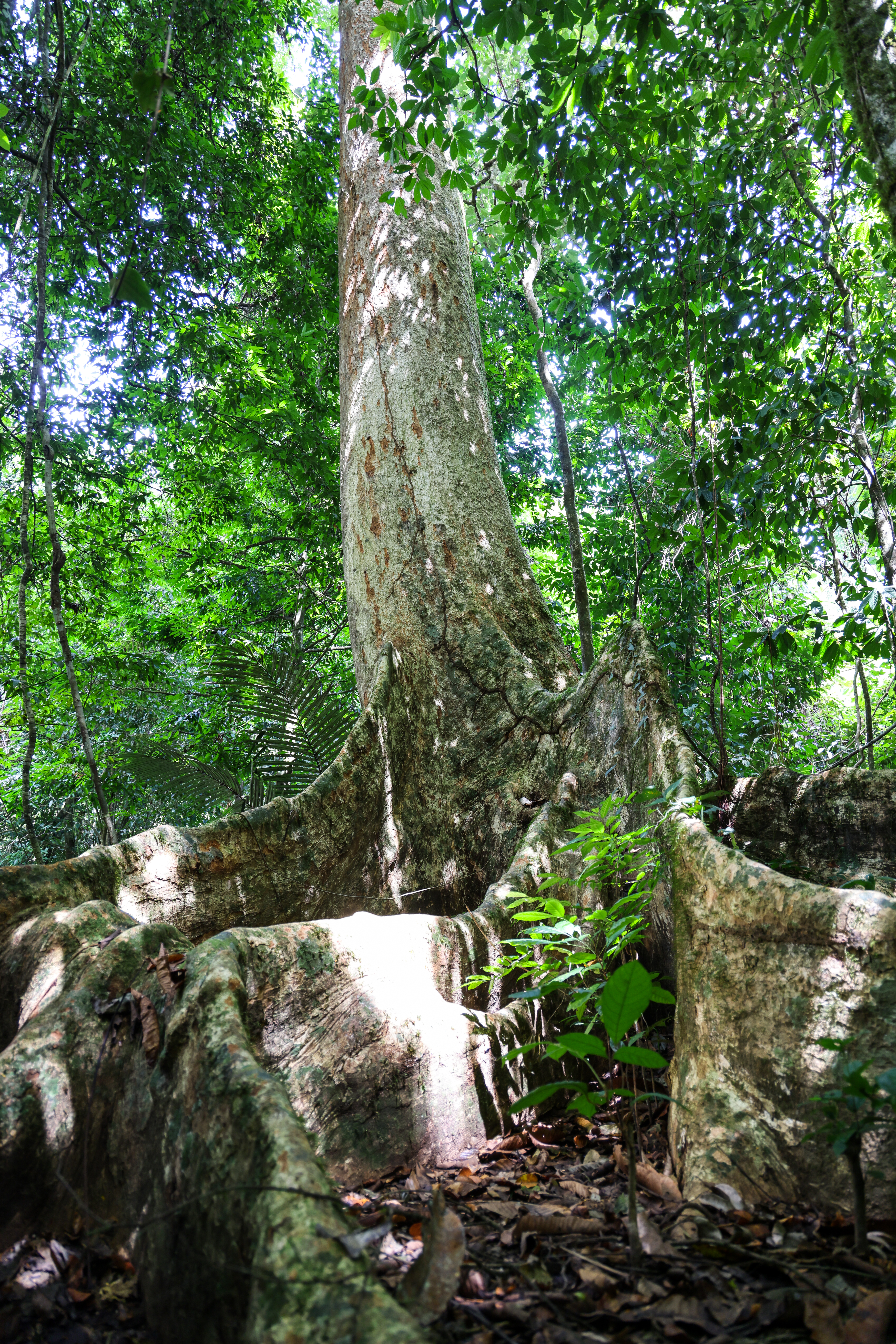 เส้นทางศึกษาธรรมชาติ