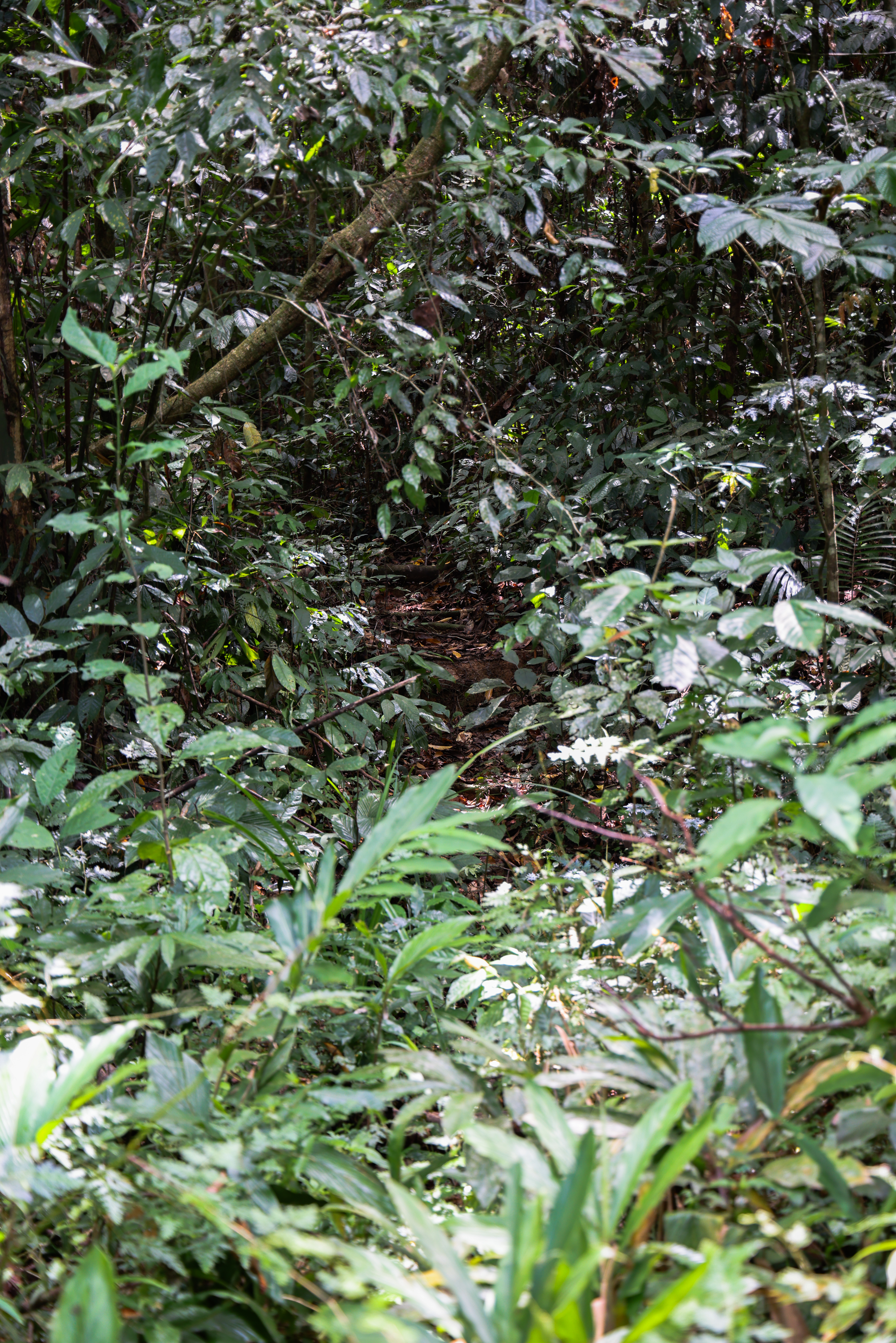 เส้นทางศึกษาธรรมชาติ