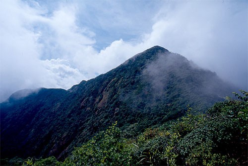อุทยานแห่งชาติเขาหลวง