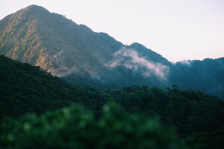 อุทยานแห่งชาติเขาหลวง