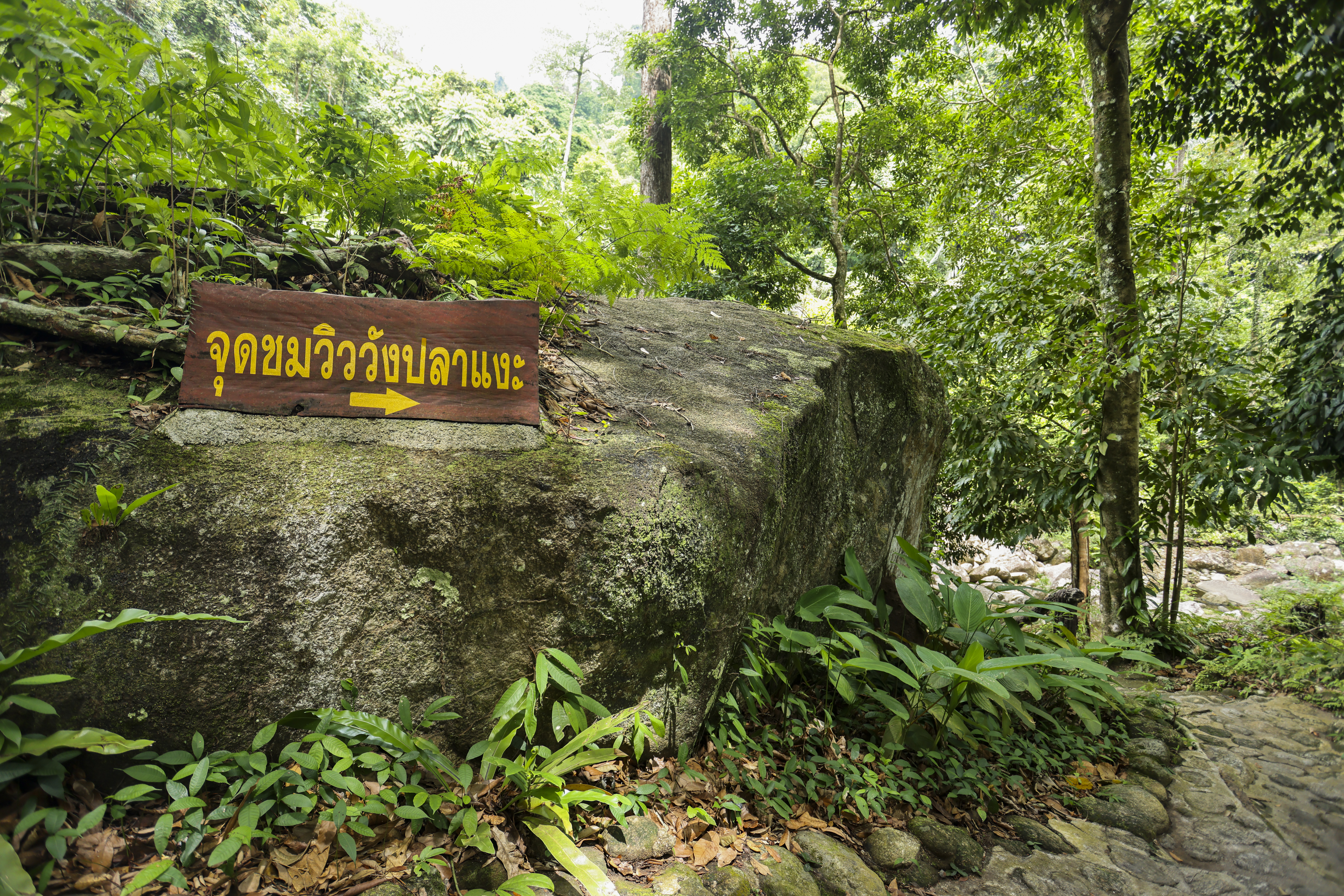 น้ำตกพรหมโลก