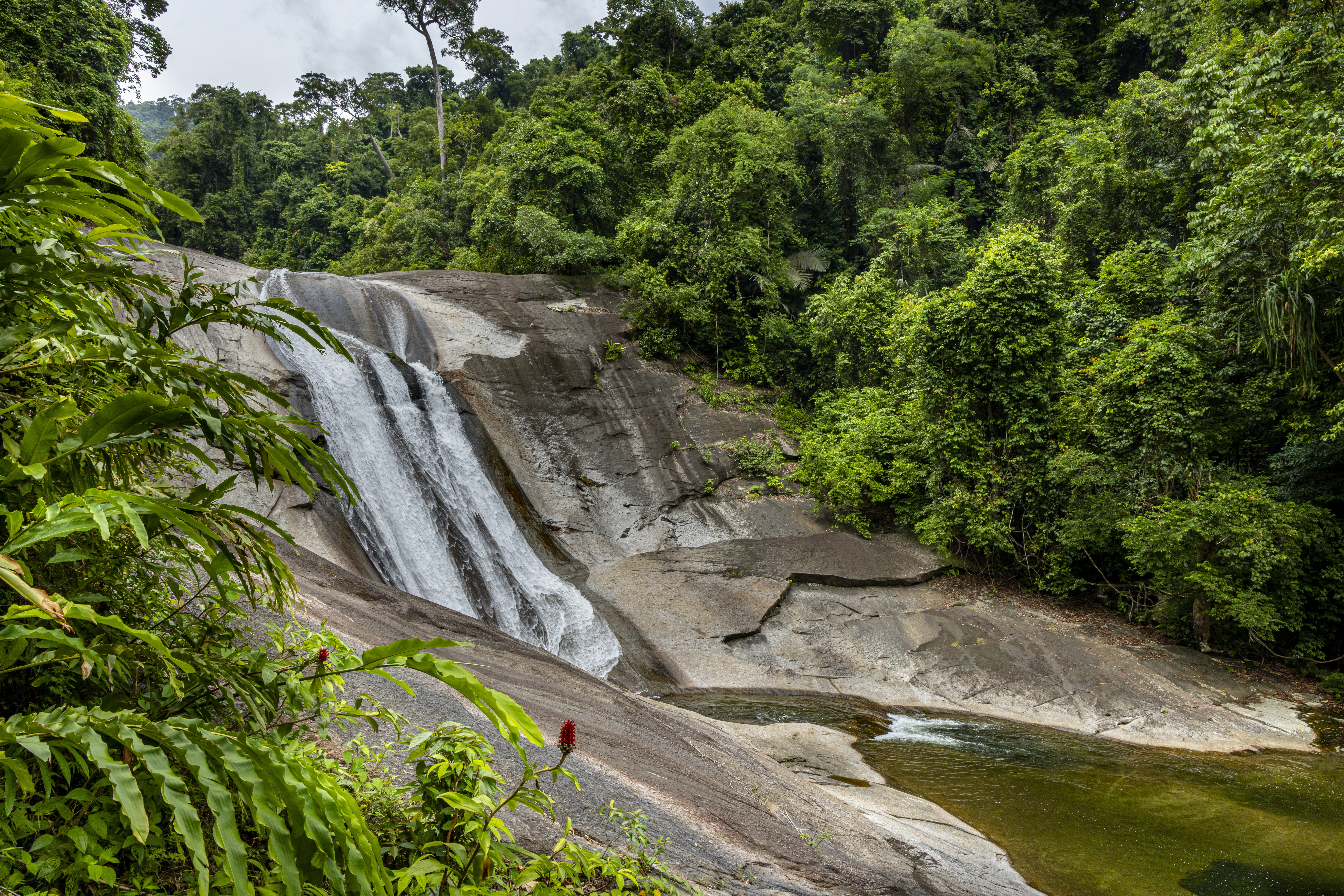 น้ำตกพรหมโลก