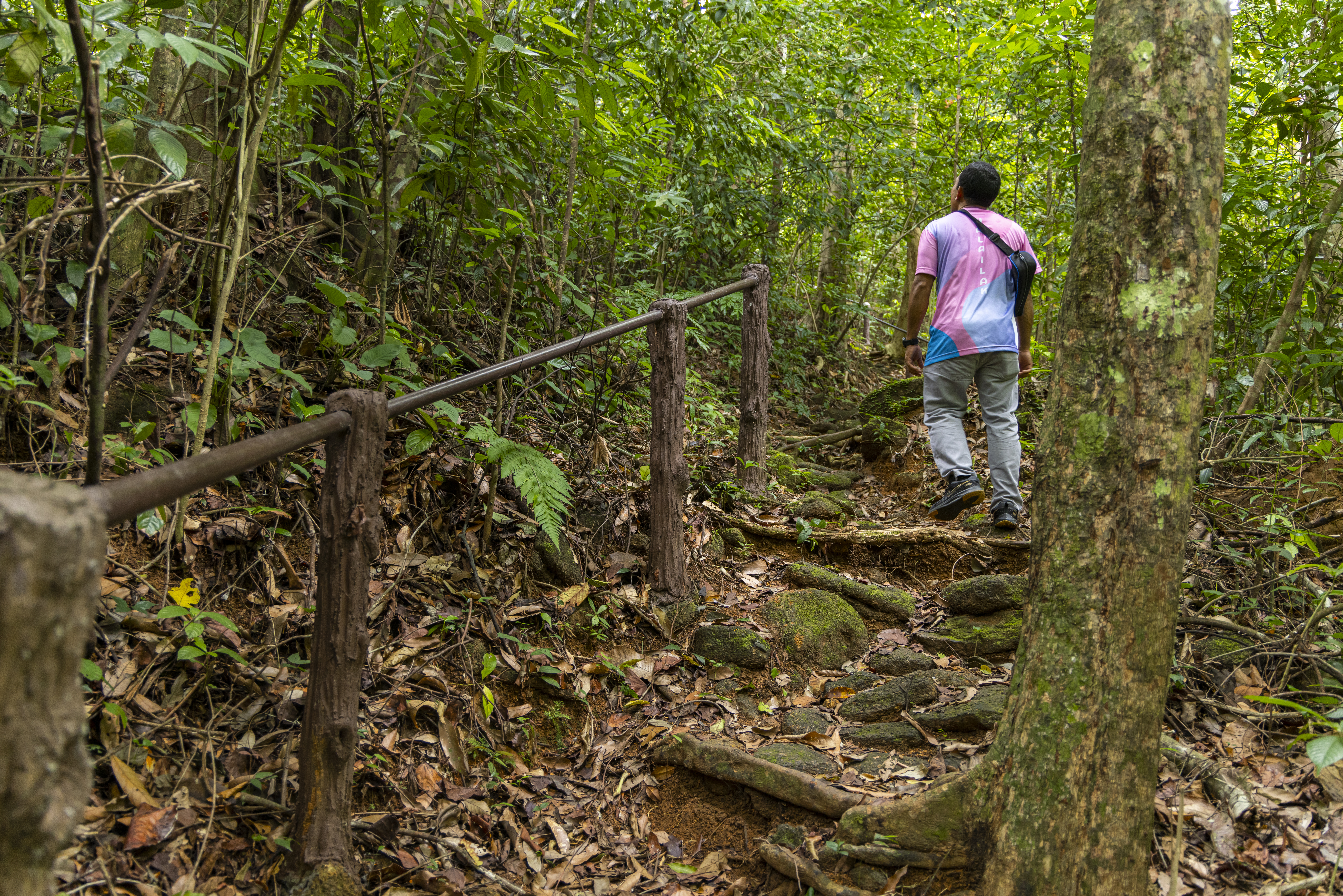 เส้นทางศึกษาธรรมชาติ