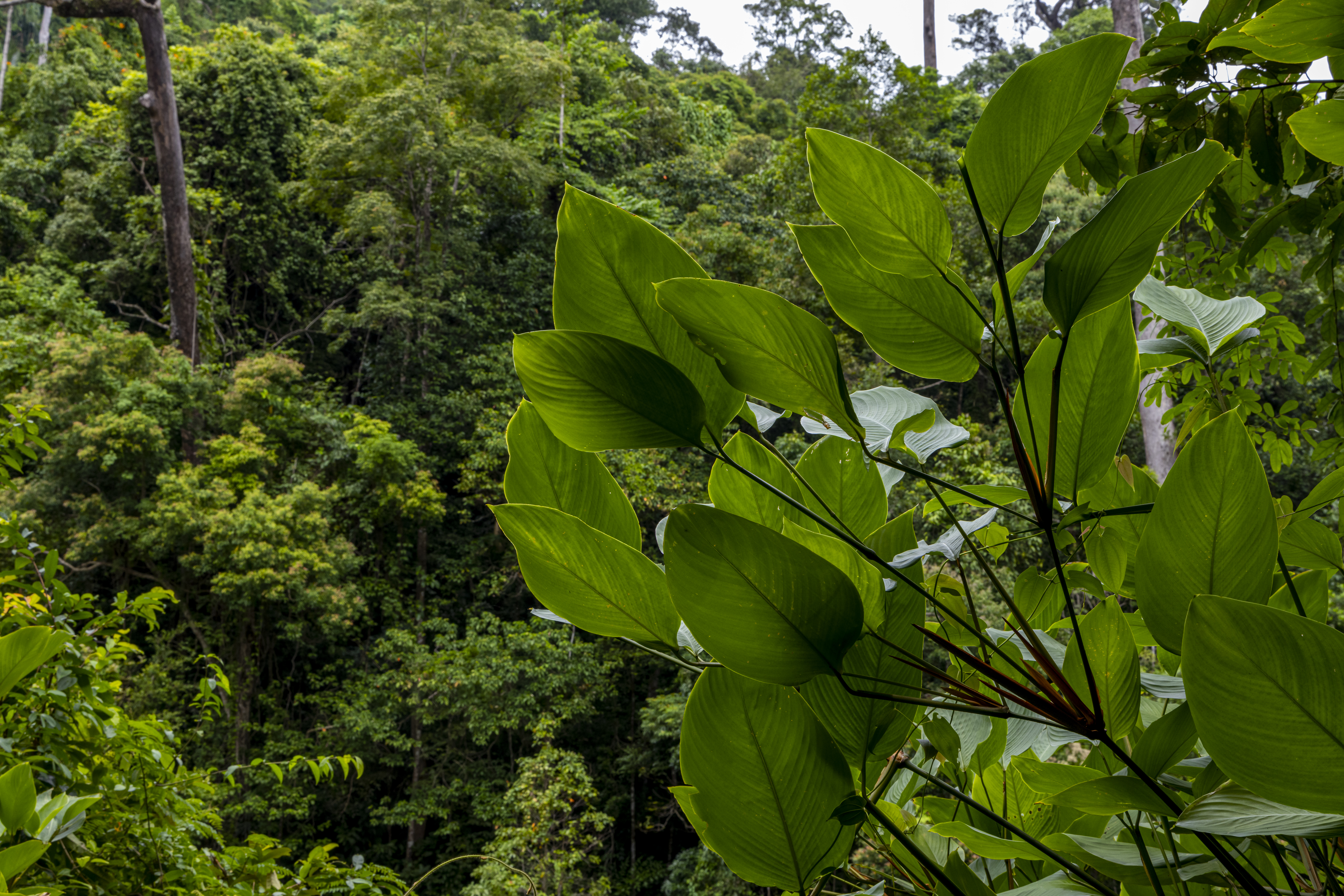 เส้นทางศึกษาธรรมชาติ