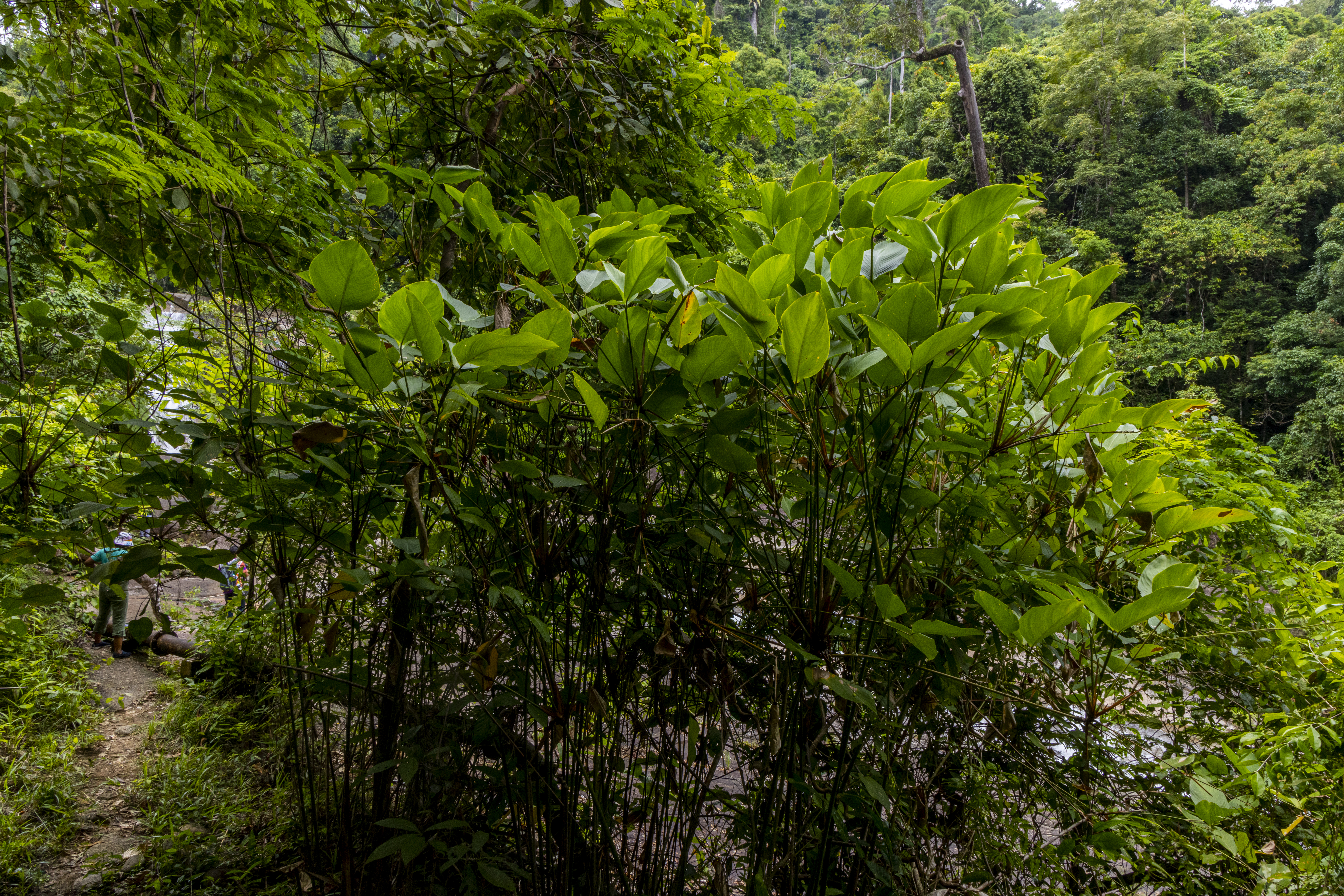 ชวนเที่ยวเส้นทางศึกษาธรรมชาติ