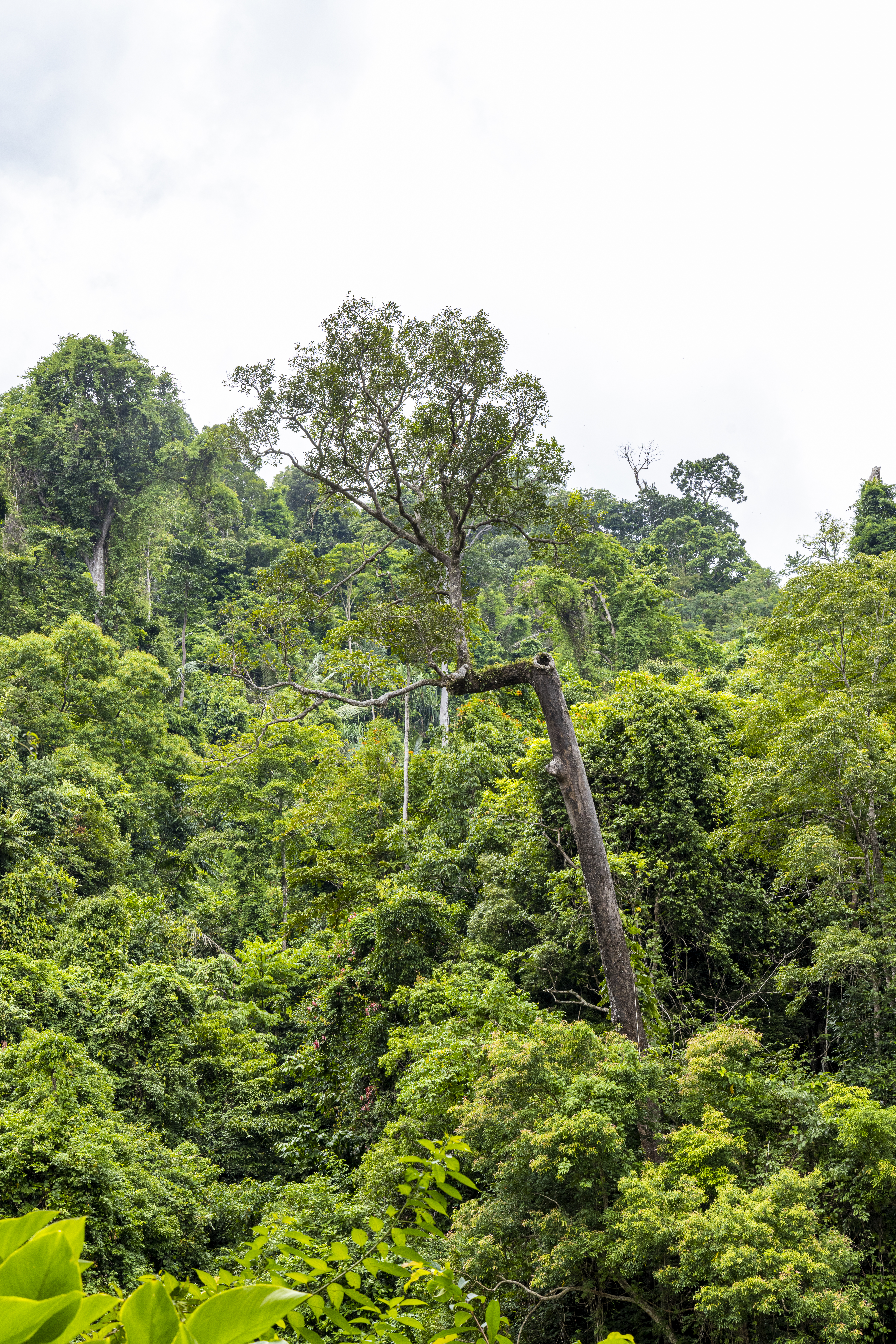 ชวนเที่ยวเส้นทางศึกษาธรรมชาติ