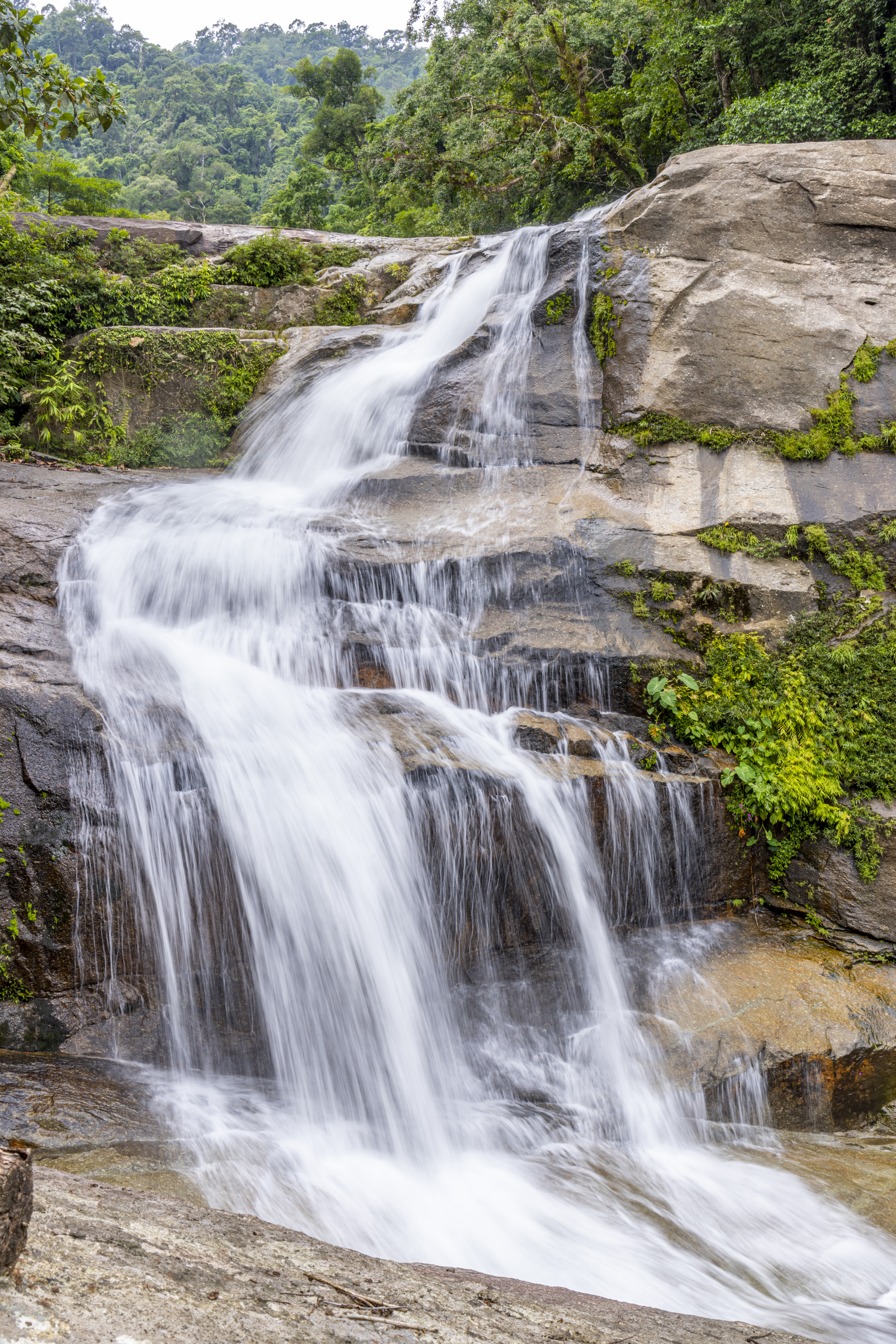 หนานวังหัวบัว