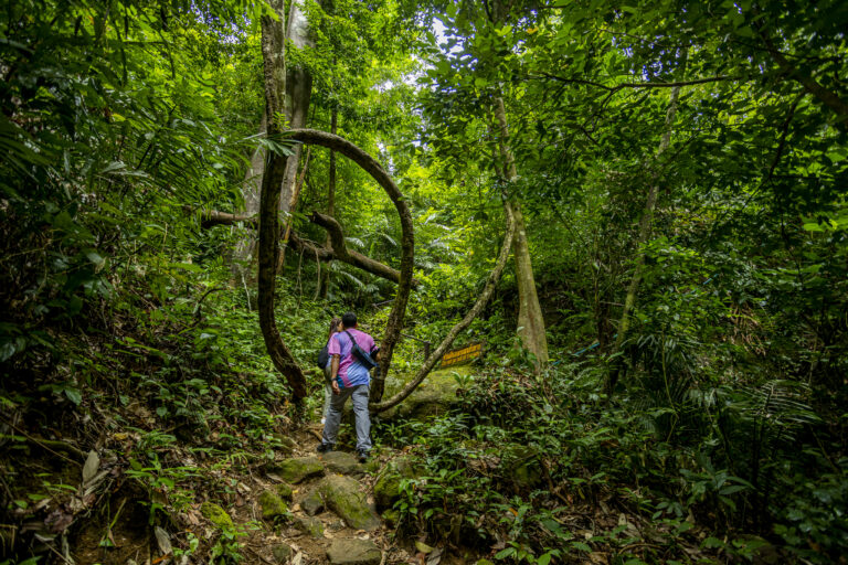 เส้นทางศึกษาธรรมชาติ