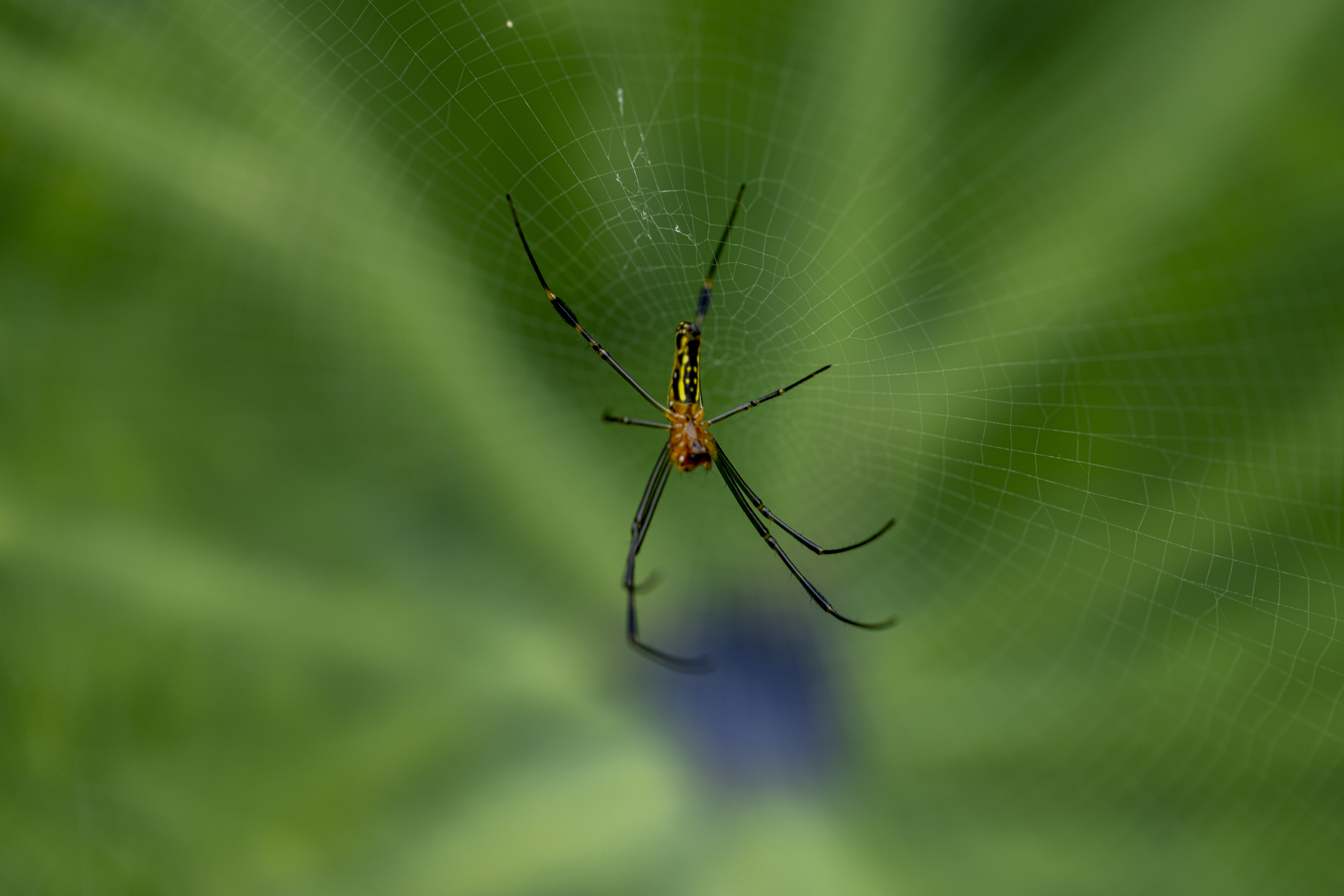 เส้นทางศึกษาธรรมชาติ